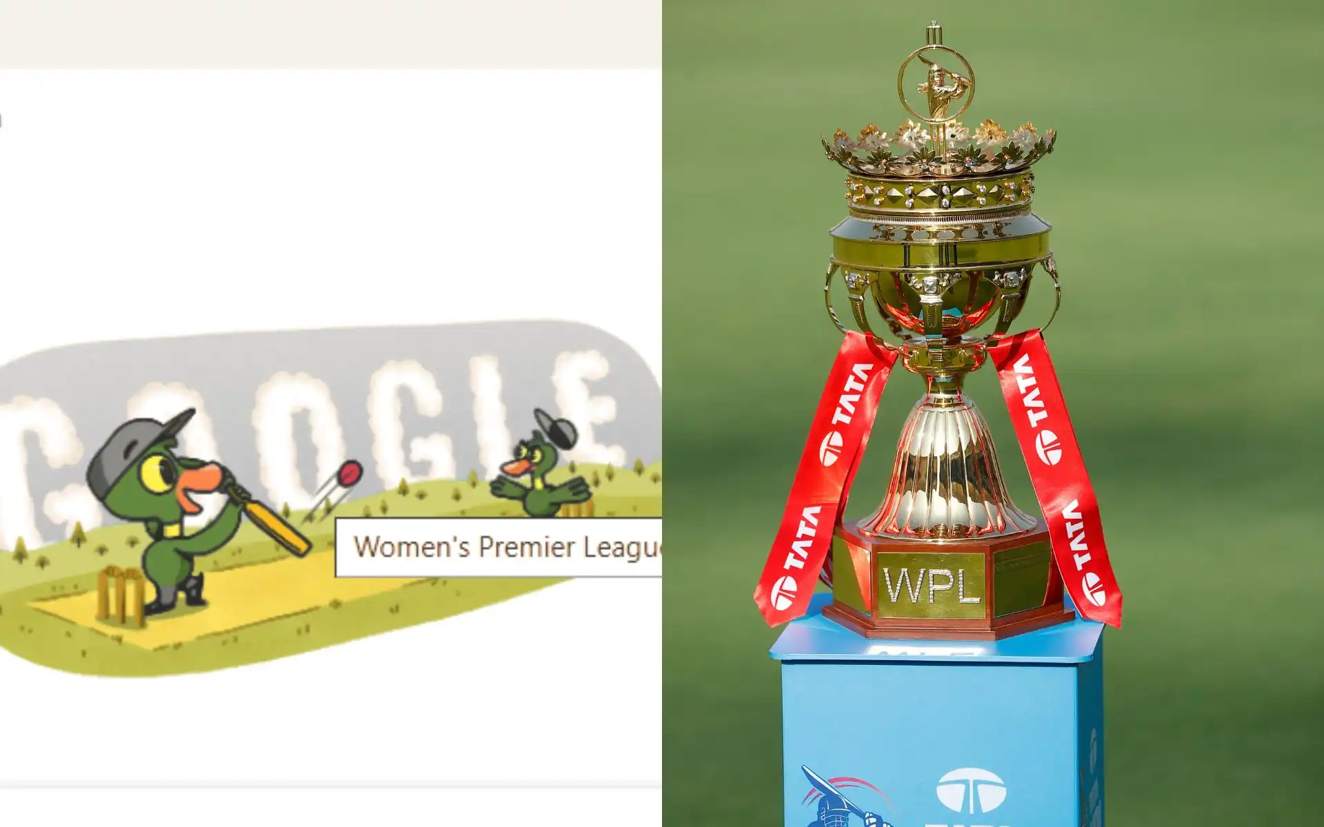 Google Unveils Special Doodle For WPL 2025 (Source: @wplt20/x.com)