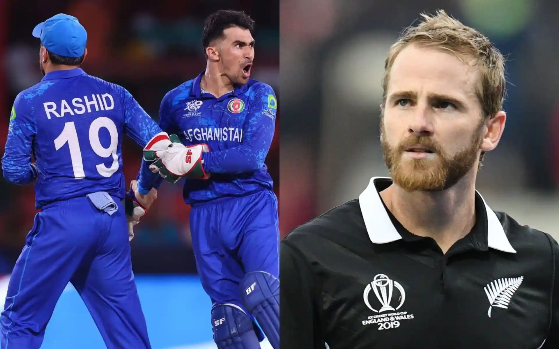 Where To Watch AFG vs NZ Champions Trophy Warm-Up Match? Live Streaming, Channel, Date And Time