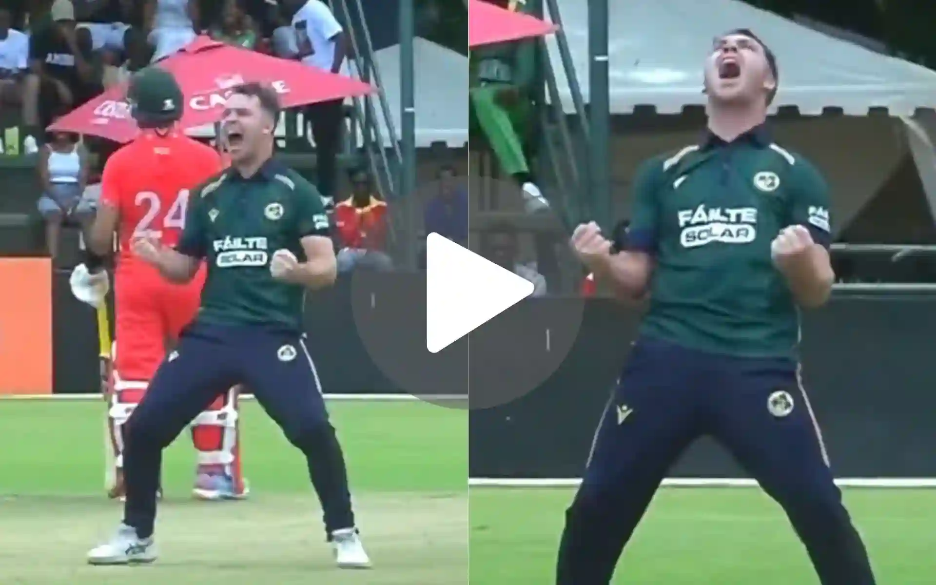 [Watch] Curtis Campher's Wild Roar As He Destroys Zimbabwe With Magical Balls