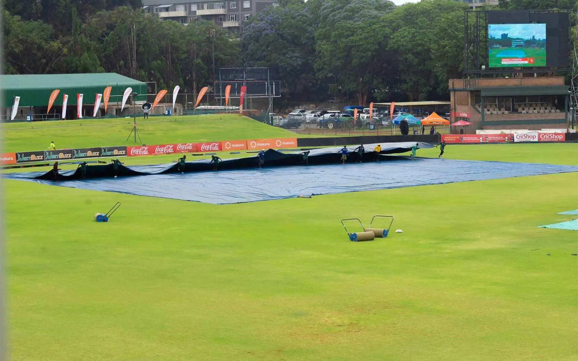 Zimbabwe will face Ireland (Source:@ZimCricketv,x.com)