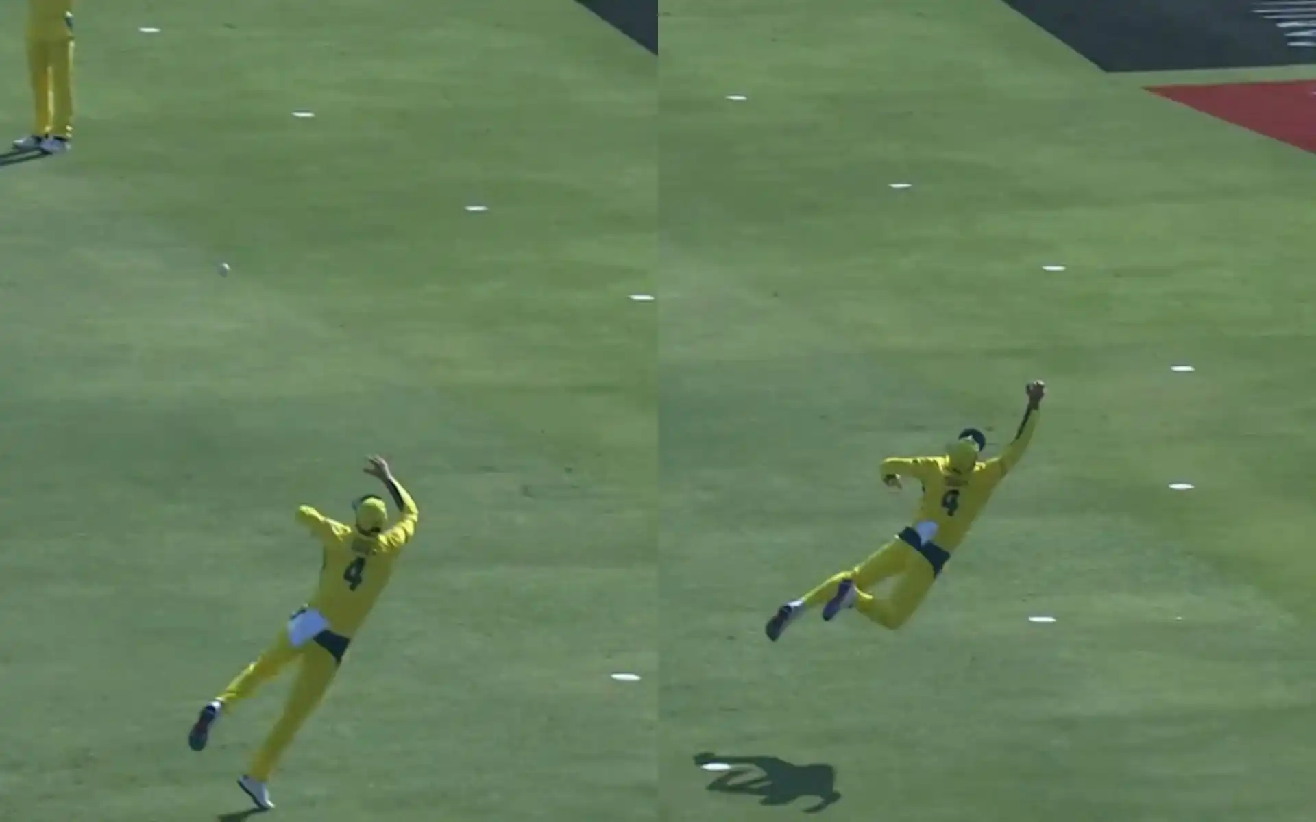 Alex Carey takes a blinder (Source: Screengrab from Hotstar)