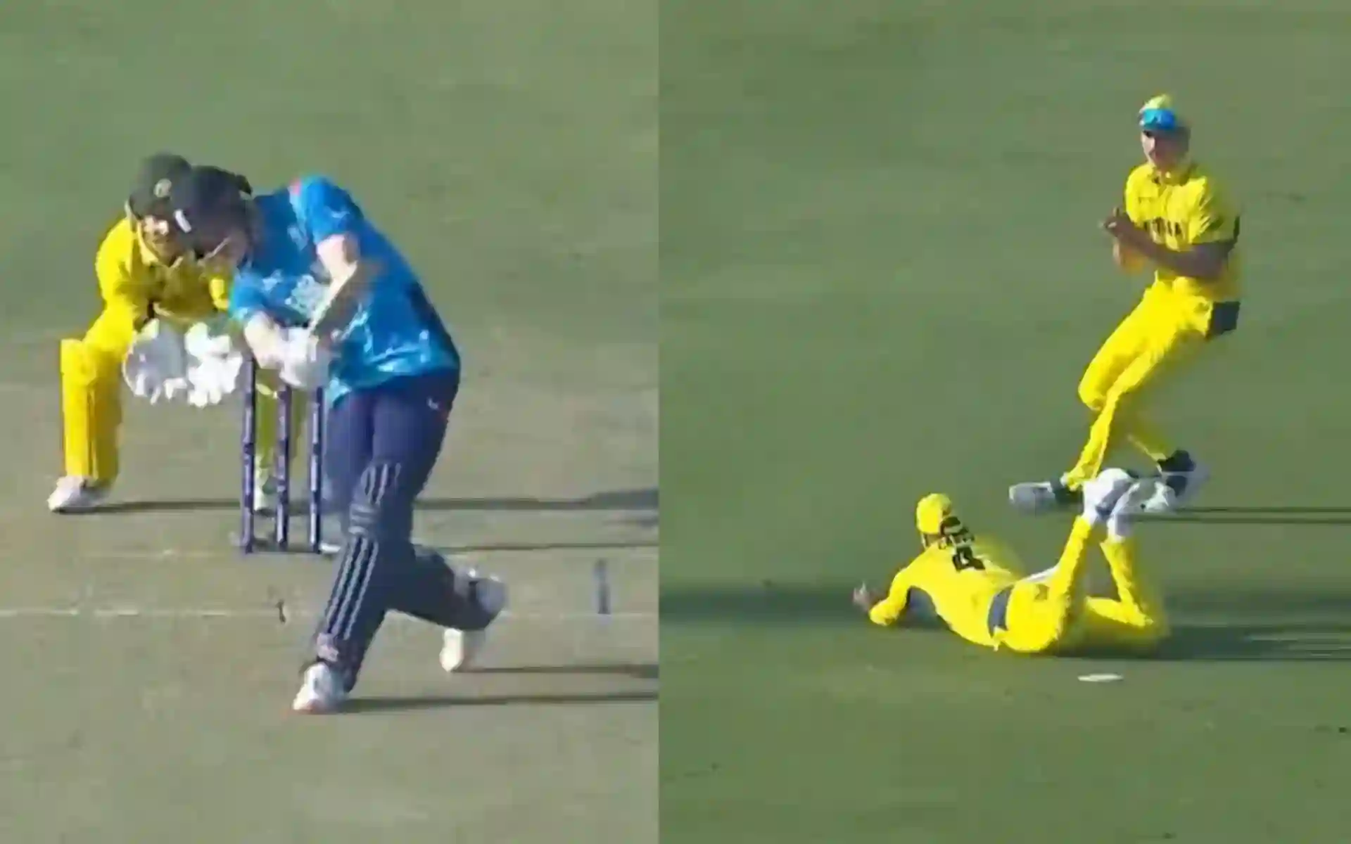 Alex Carey Catch - (Source:@ScreenGrab)