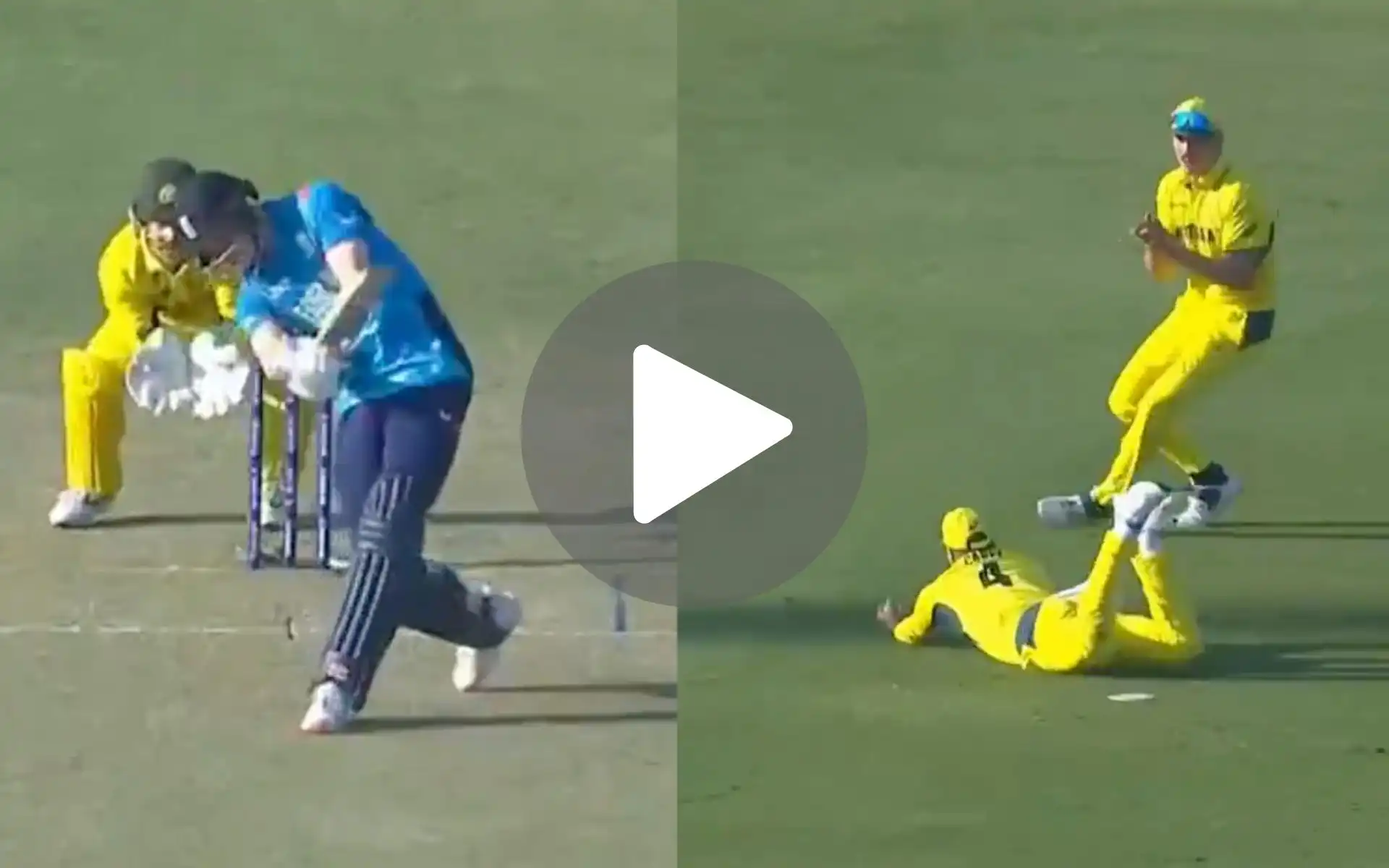 [Watch] Carey Does A Travis Head By Replicating Rohit Sharma's 2023 WC Dismissal
