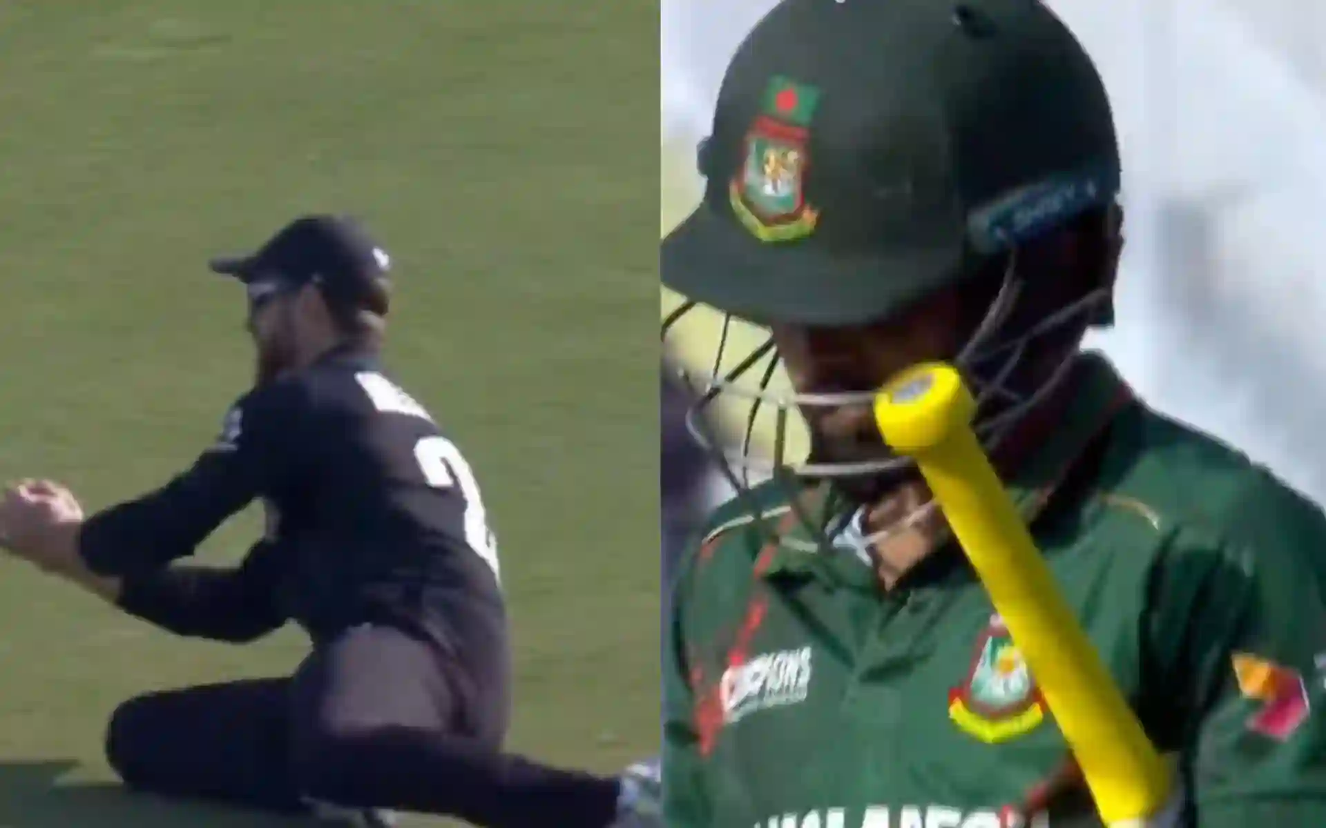 Kane Williamson took a brilliant catch of Towhid Hridoy [Source: @kuchbhi12341416/x.com]