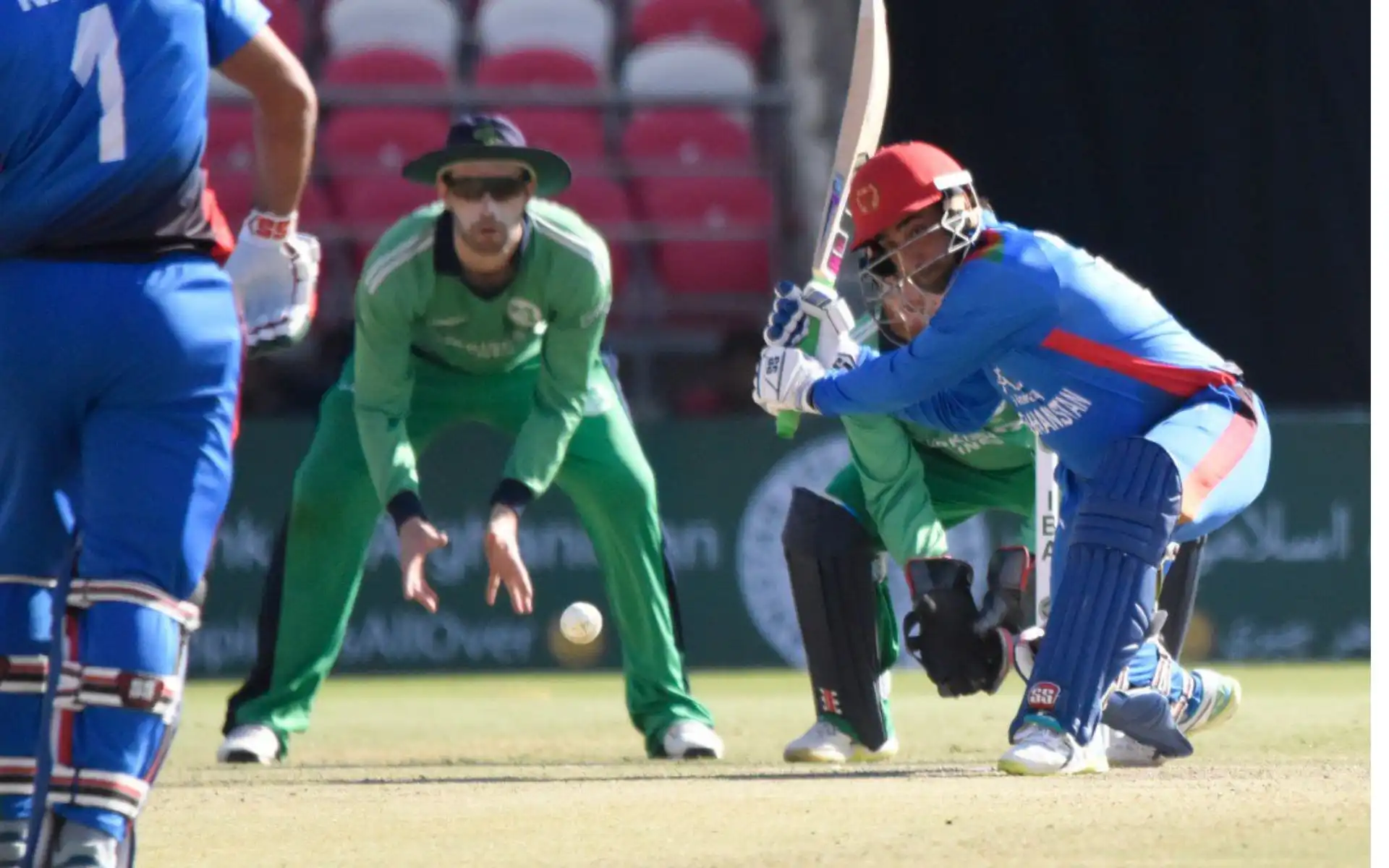 338 vs Ireland [Source: @ACBofficials/x.com]