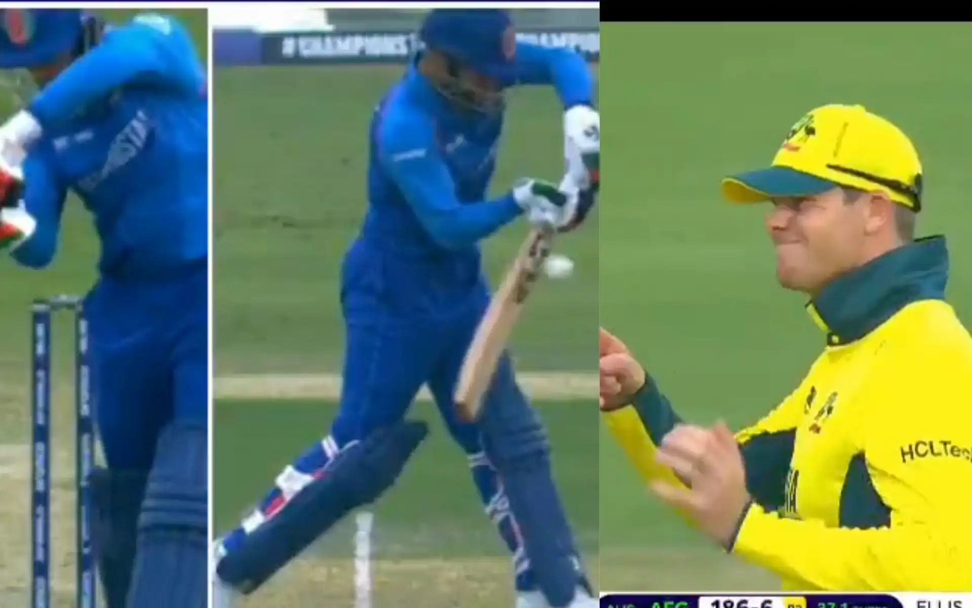 Steve Smith's DRS blunder (Source:@Screengrab)