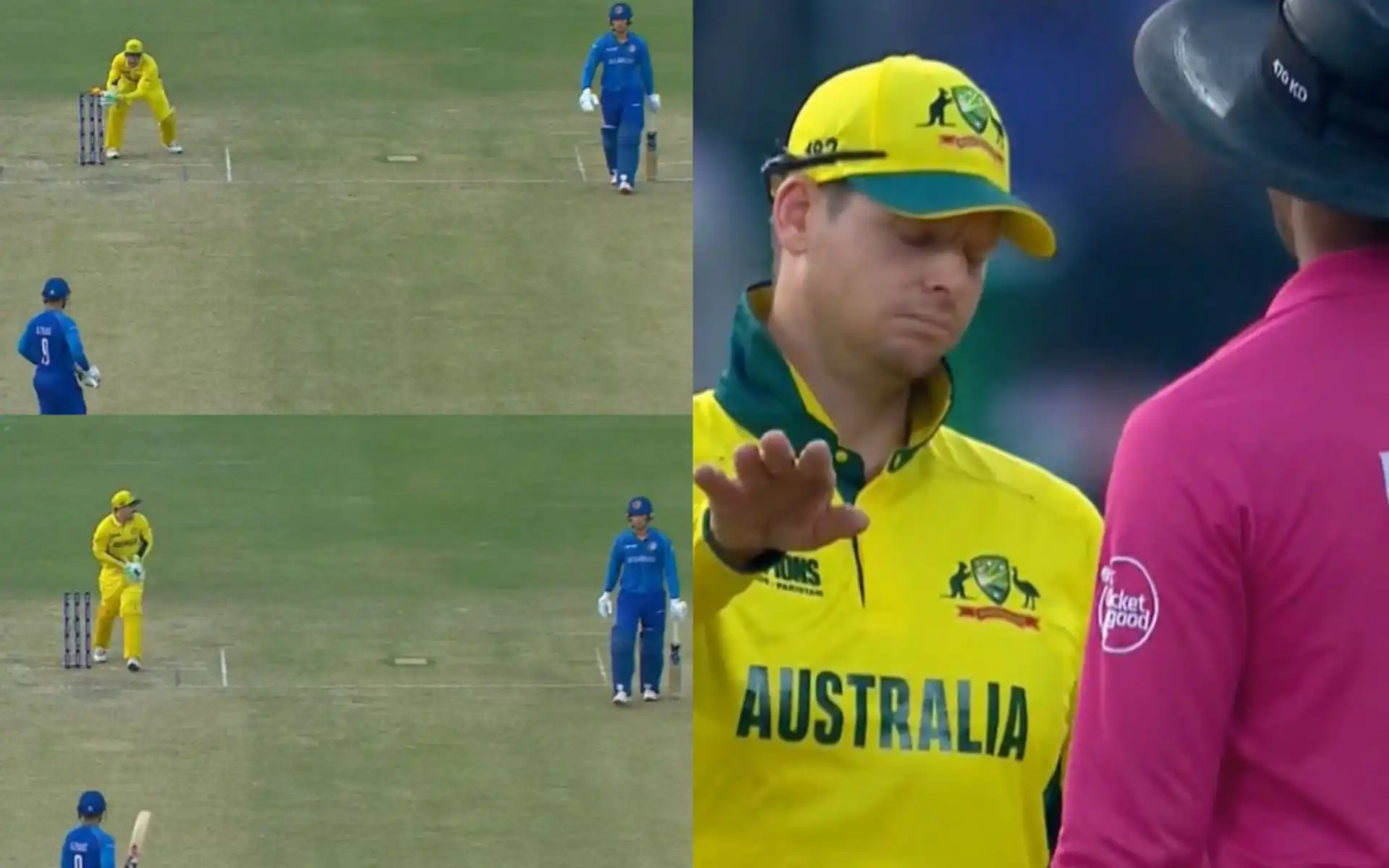 ICC Rule Explained: Did Smith's Sportsman Spirit Cost Australia vs Afghanistan?