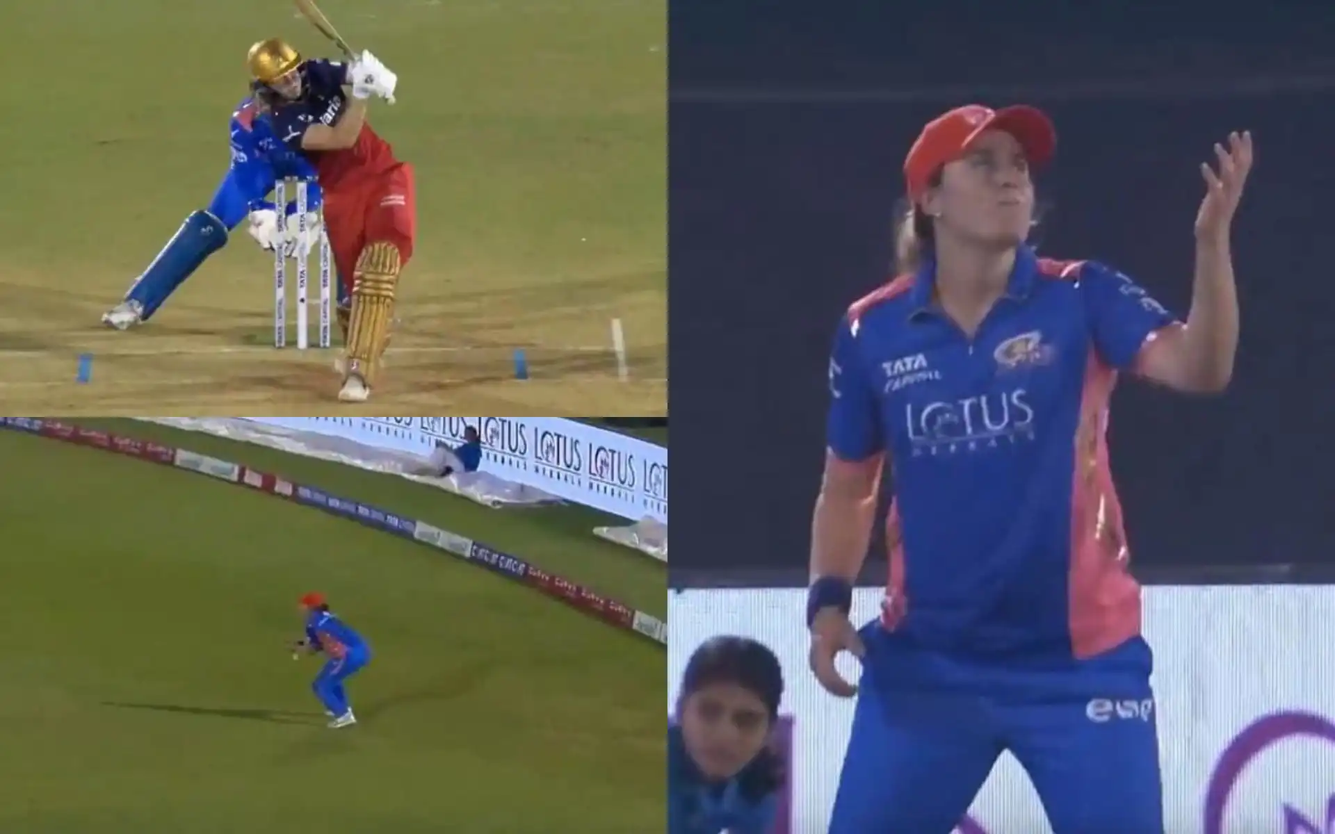 Nat Sciver-Brunt dropped Ellyse Perry's catch. [Source - Jiohotstar/x.com]
