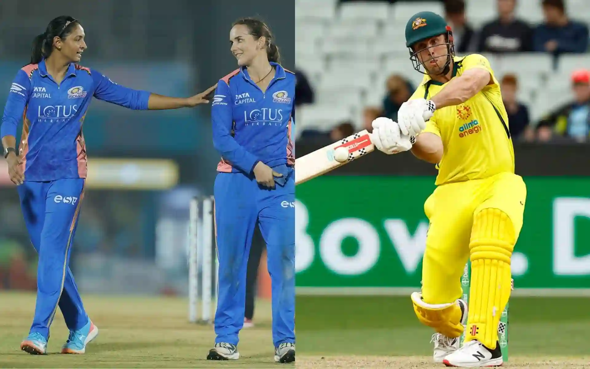 Mumbai Indians Reach Final, Marsh Cleared And Chahal In County – March 13 Cricket Highlights