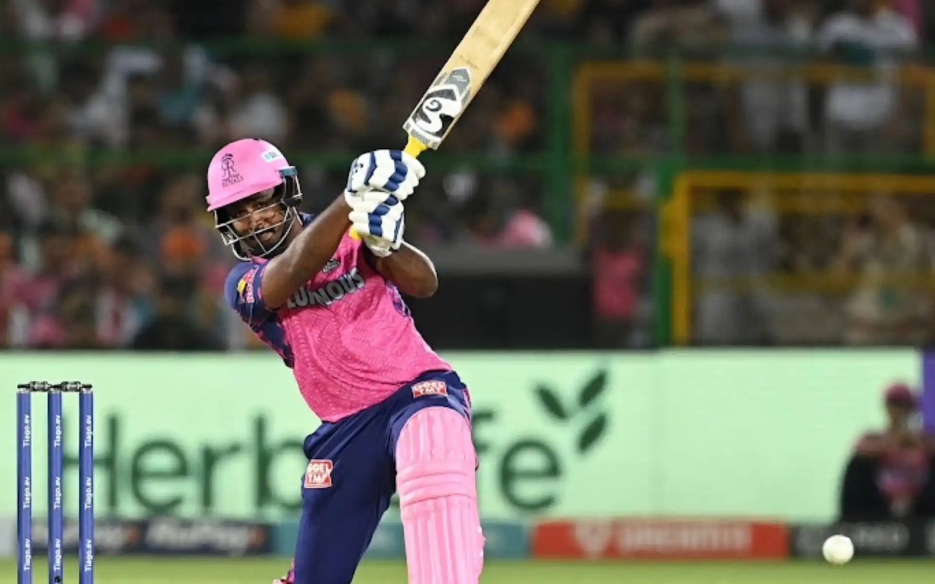 Sanju Samson in action [Source: @FlashCric/X]