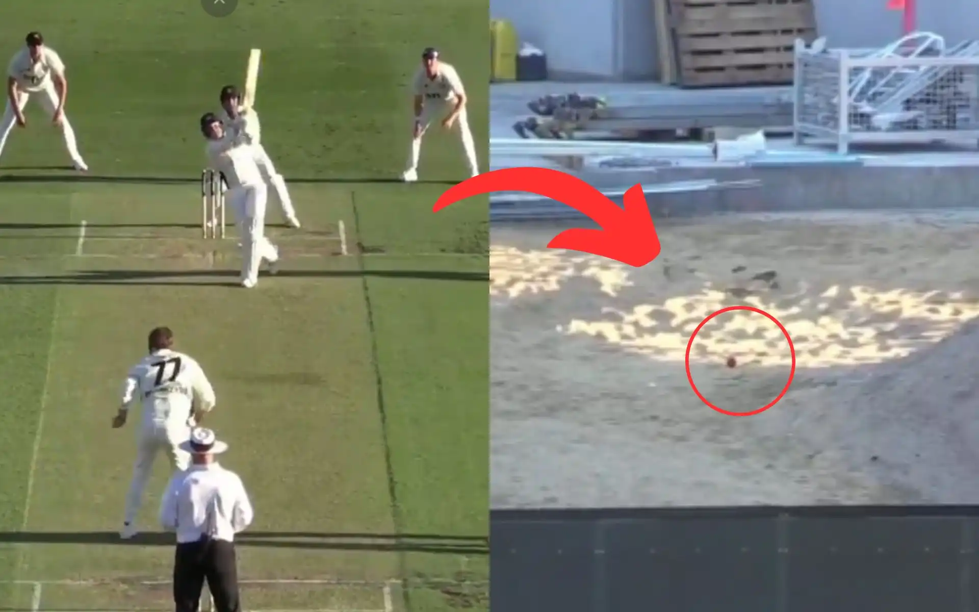 Peter Siddle hits massive six [Source: @cricketcomau/X.com]