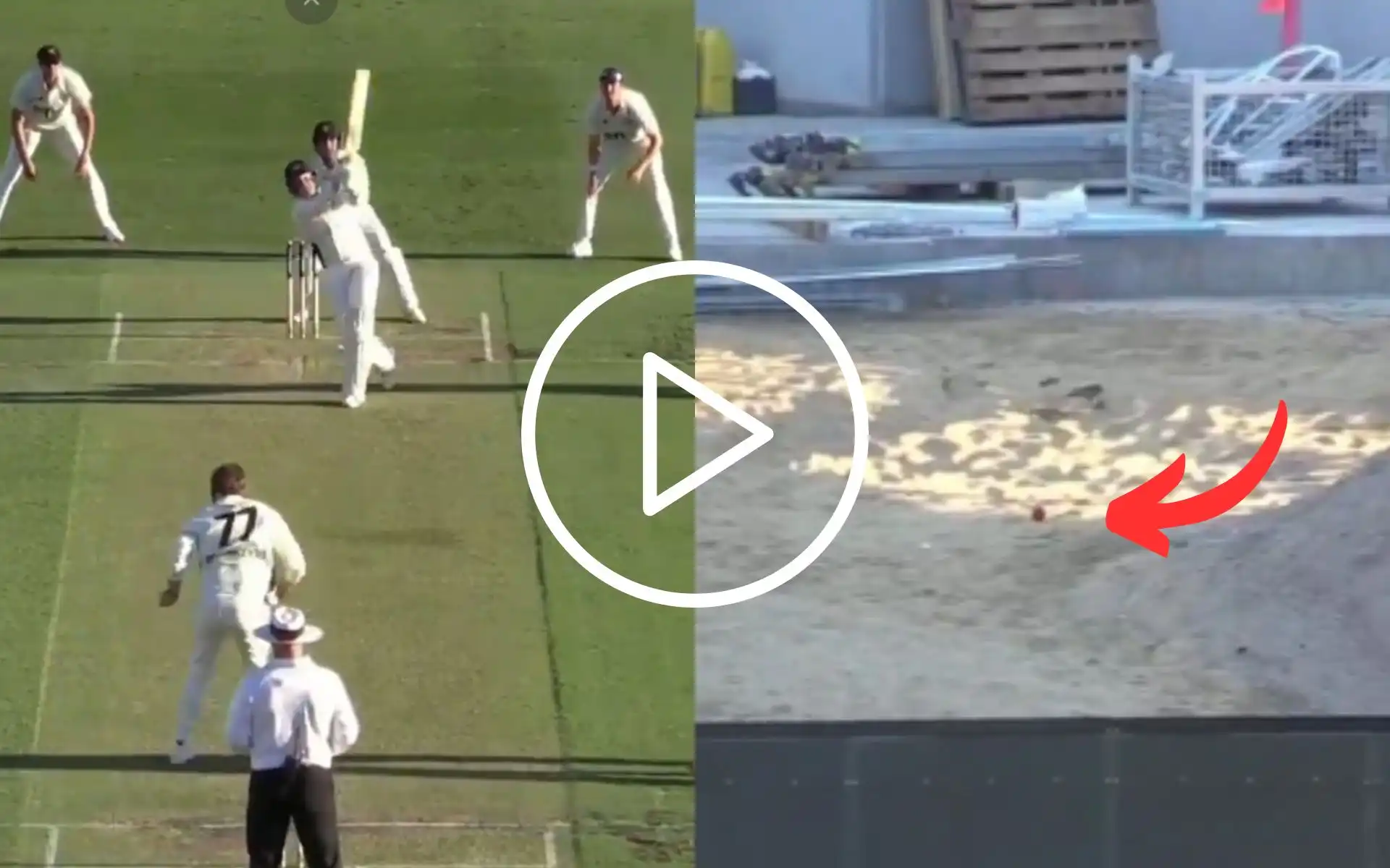 [Watch] 40-Year-Old Peter Siddle Sends Ball To Construction Site With A Massive Six