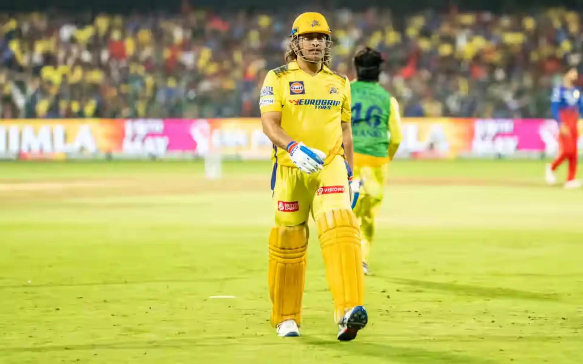 MS Dhoni will once again play for CSK [Source: IPLT20.com]
