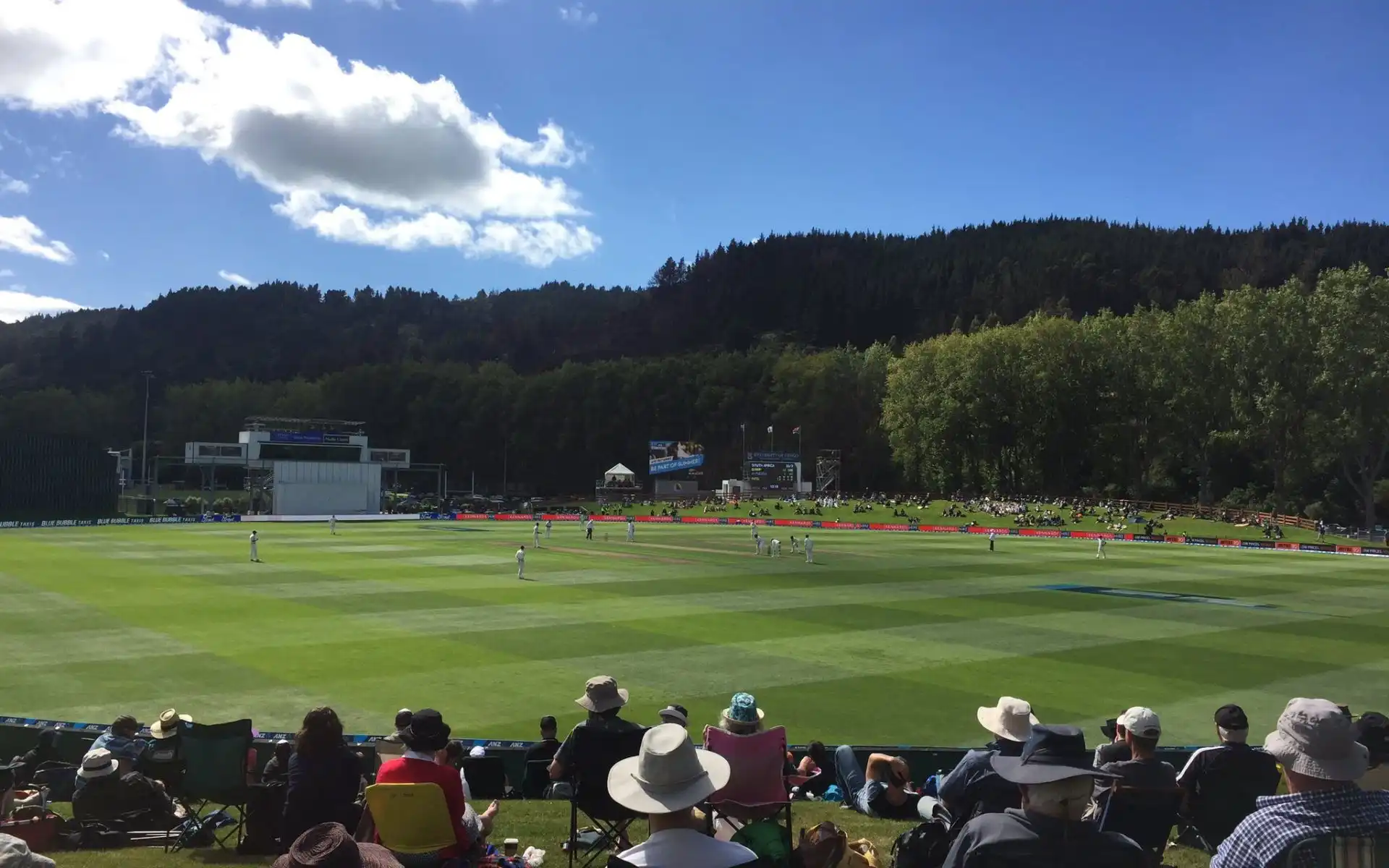 University Oval Dunedin Pitch Report: How Will The Surface Play For PAK vs NZ 2nd T20I?