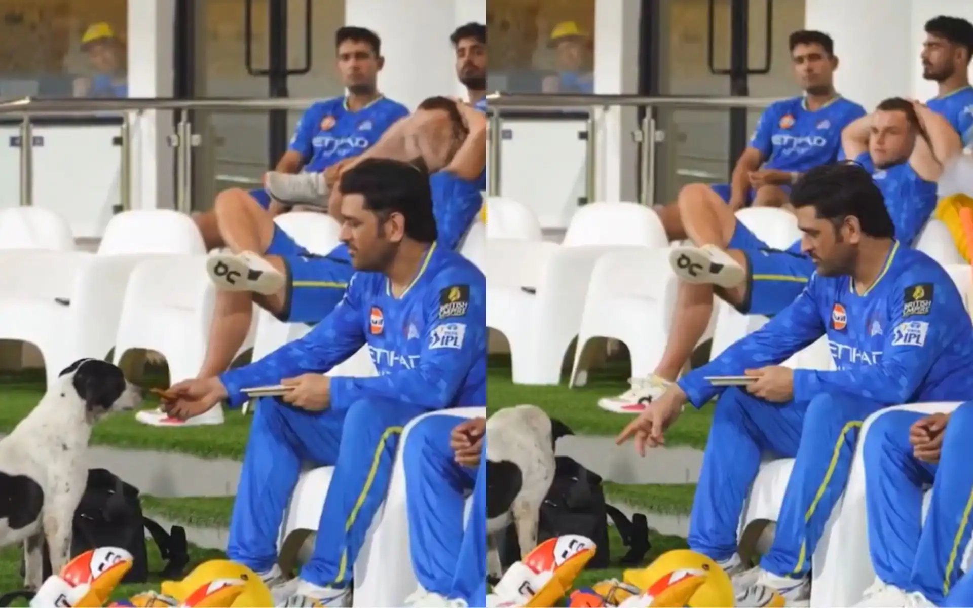 MS Dhoni (Source: @ChennaiIPL/X.com)