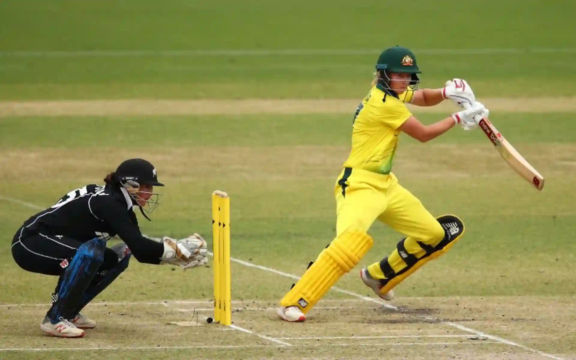 NZ-W vs AUS-W: Dream11 Prediction For 1st T20I Match [Source: @ICC/x.com]