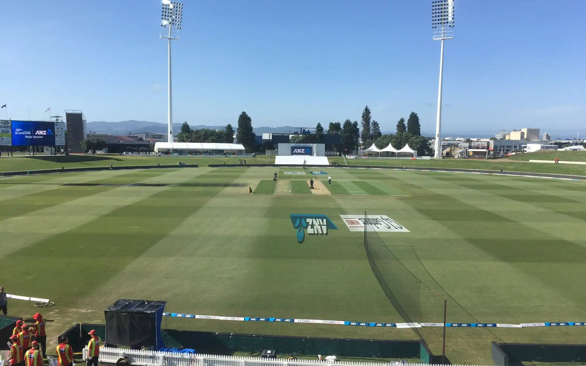 Bay Oval pitch report [Source: @tmsproducer/X.com]
