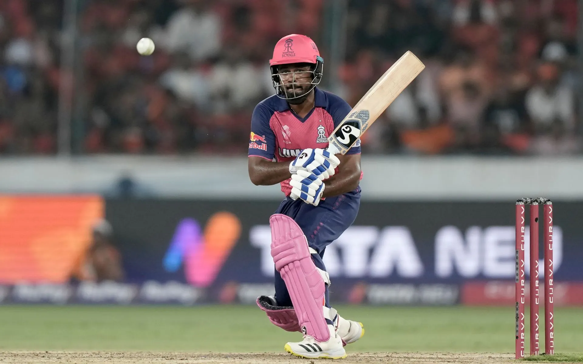 Sanju Samson was used as an Impact Player on Sunday. [Source: AP Photos]