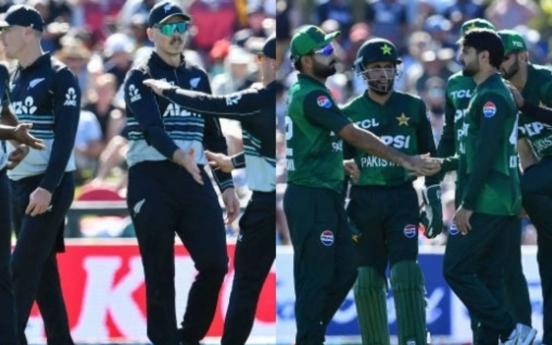 PAK Vs NZ head to head [Source: @TheRealPCB/X.com]