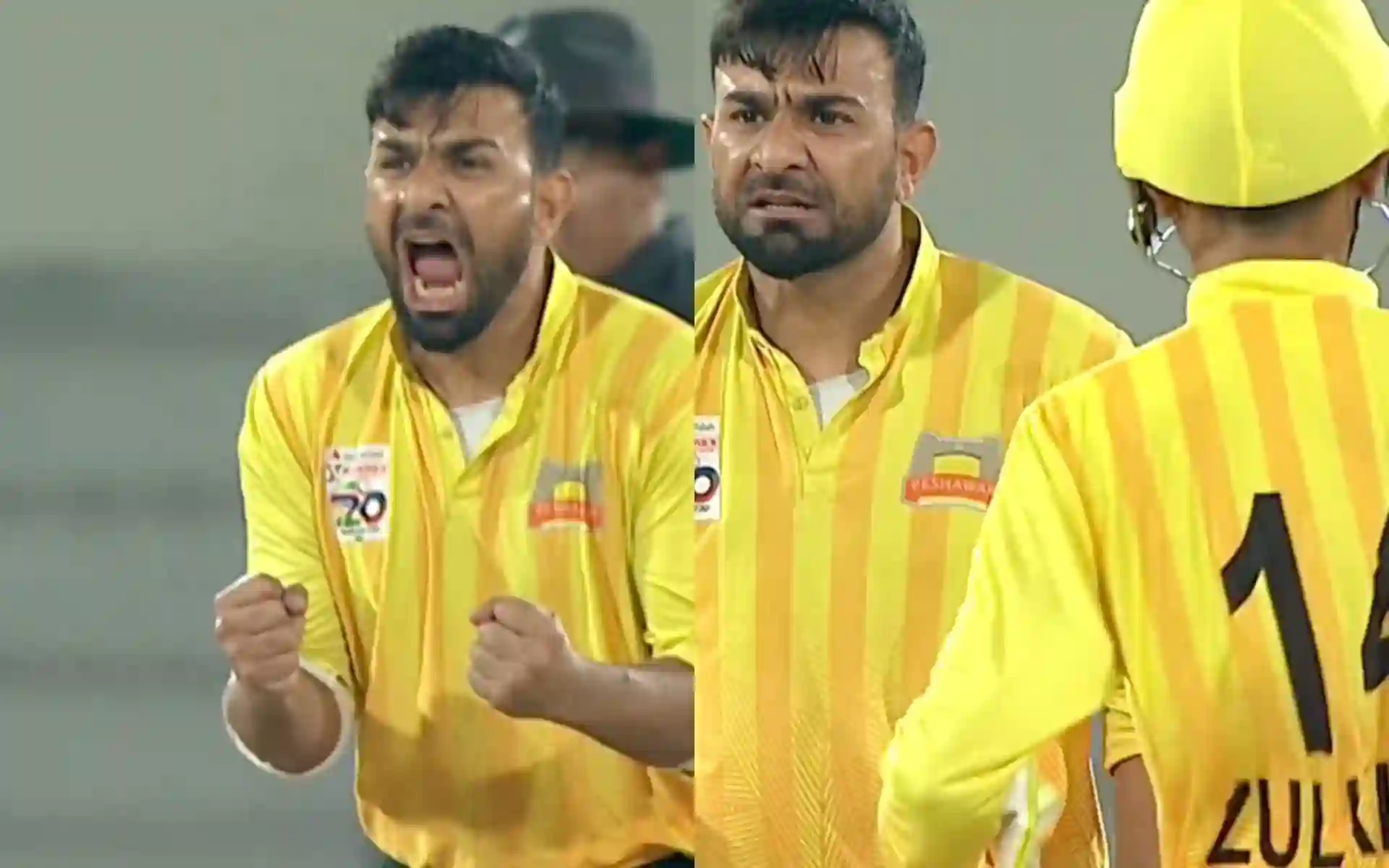 Iftikhar Ahmed roars in aggression [Source: @therealpcb/Instagram]