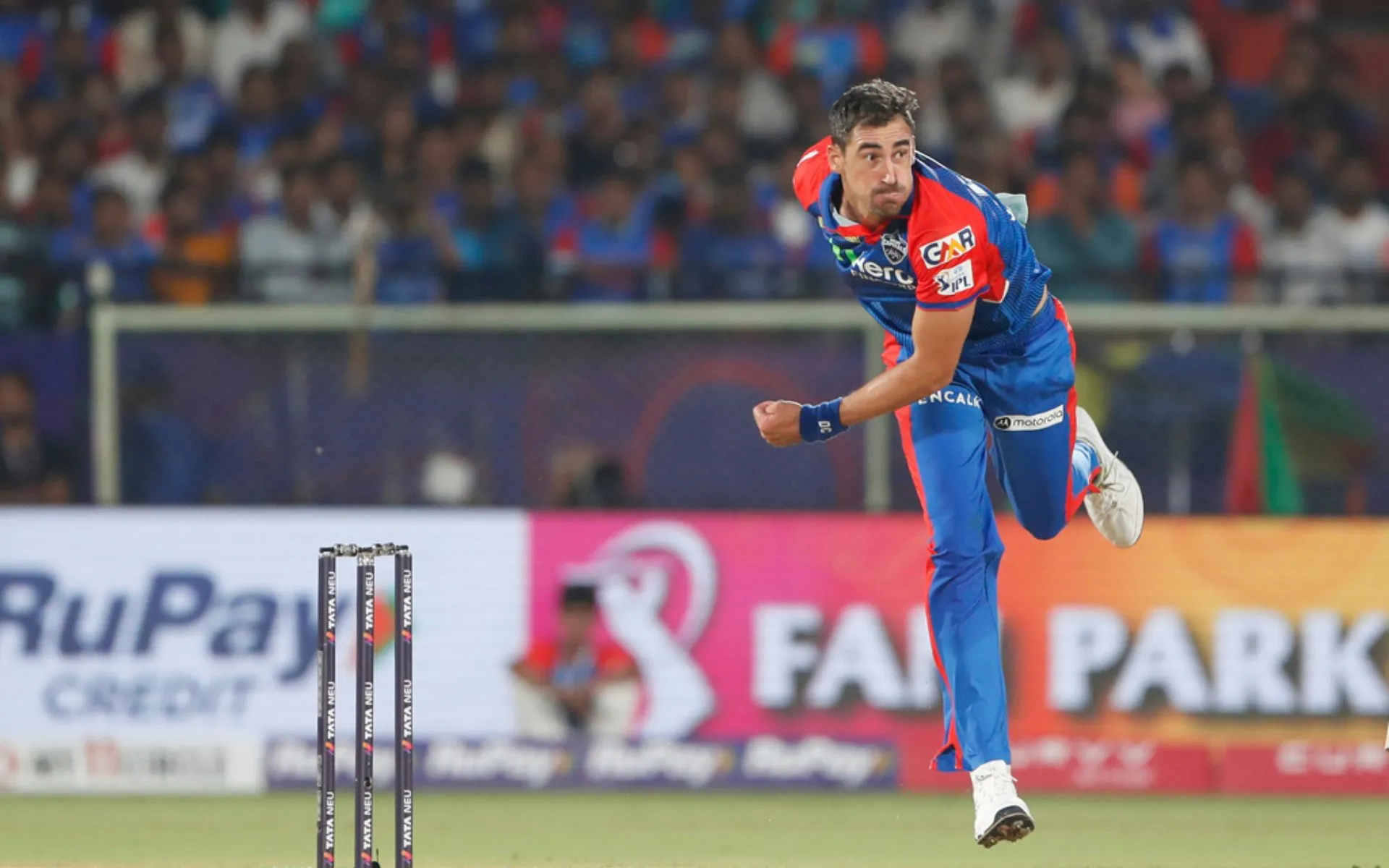 Starc becomes Purple cap holder [Source: AP Photo]