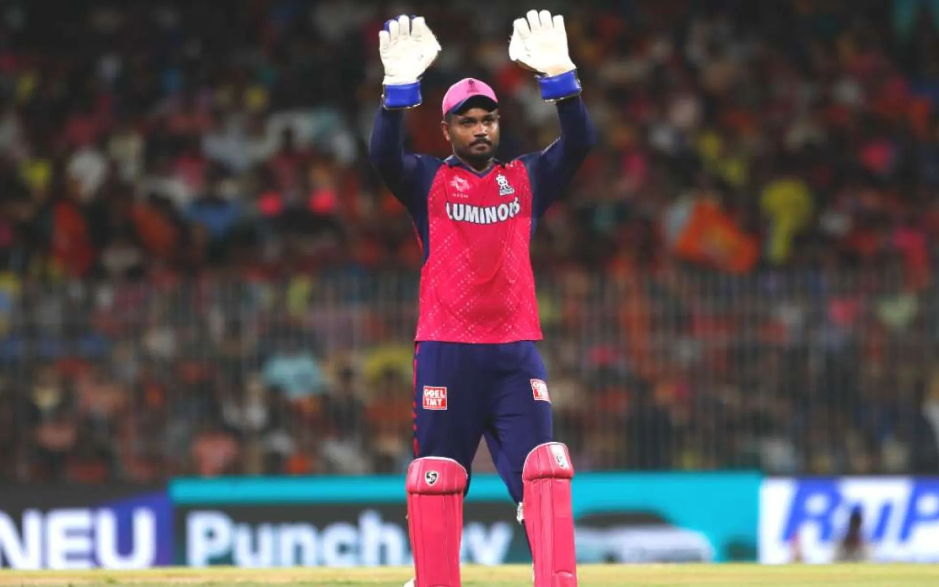 Sanju Samson - (Source : @Johns/X.com)