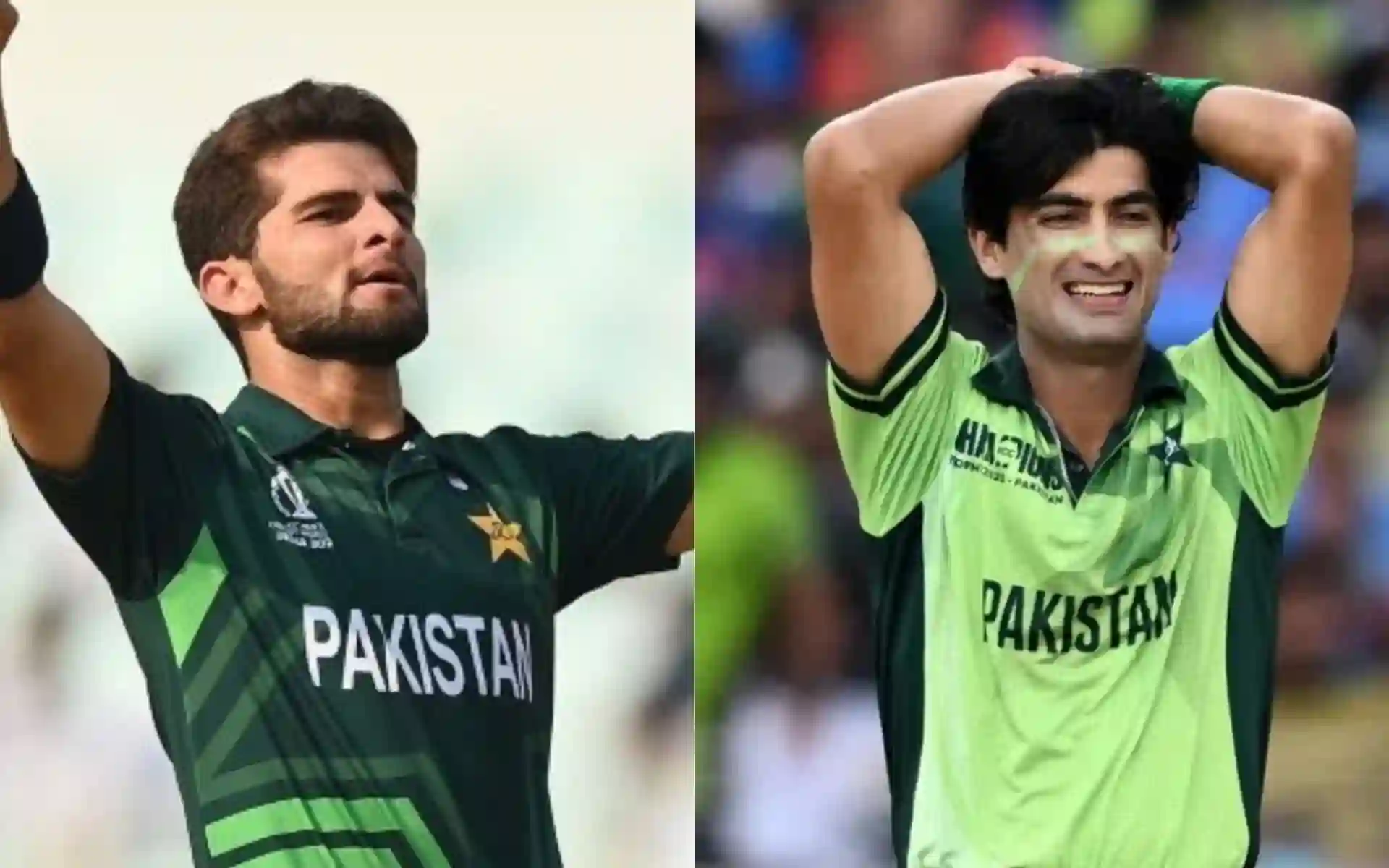 Shaheen Afridi vs Naseem Shah: Who Has Been A More Lethal Bowler In PSL? Shaheen Afridi vs Naseem Shah: Who Has Been A More Lethal Bowler In PSL?