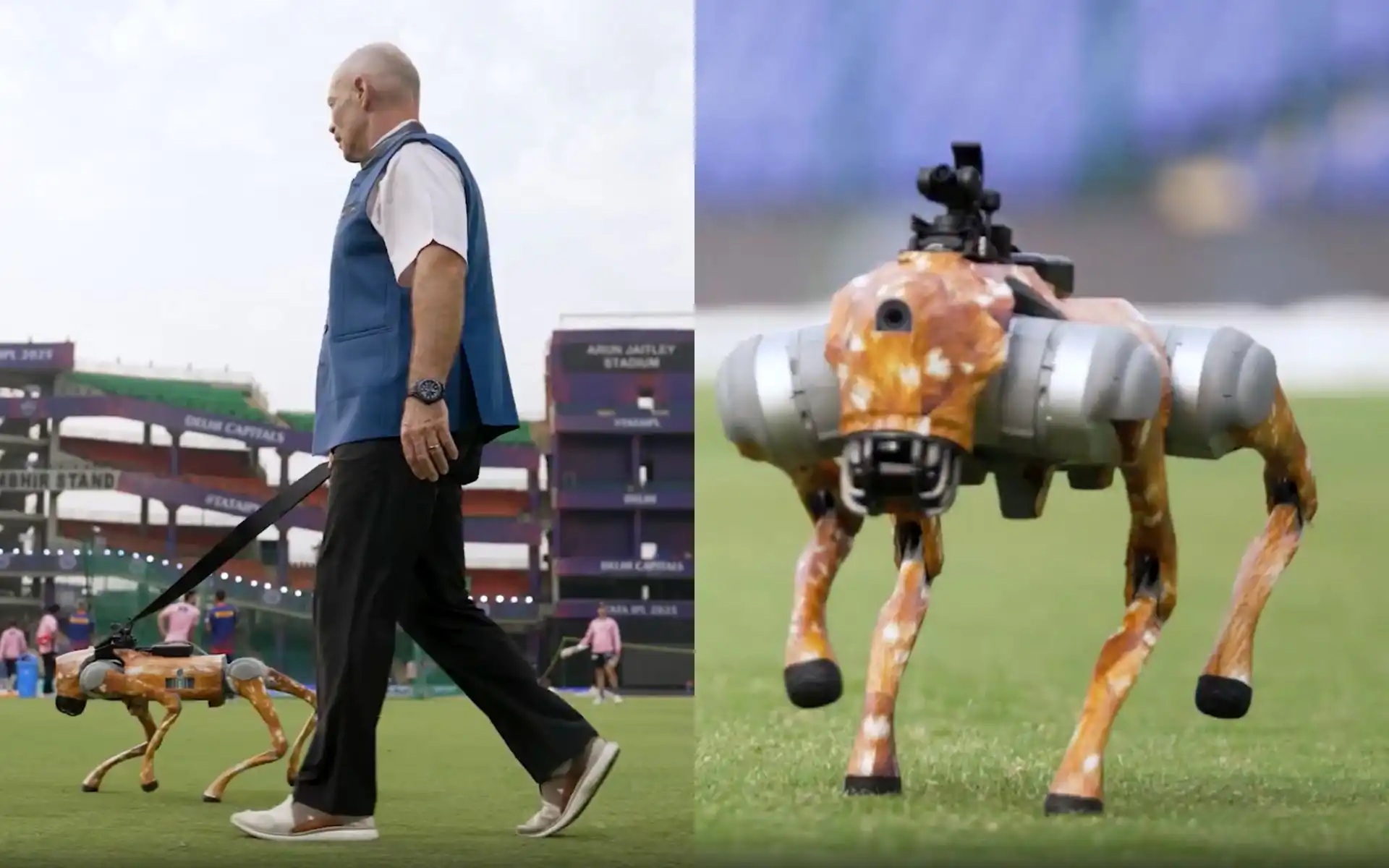 Robot Dog In IPL 2025! BCCI Introduces Newest Member Of Broadcast Team