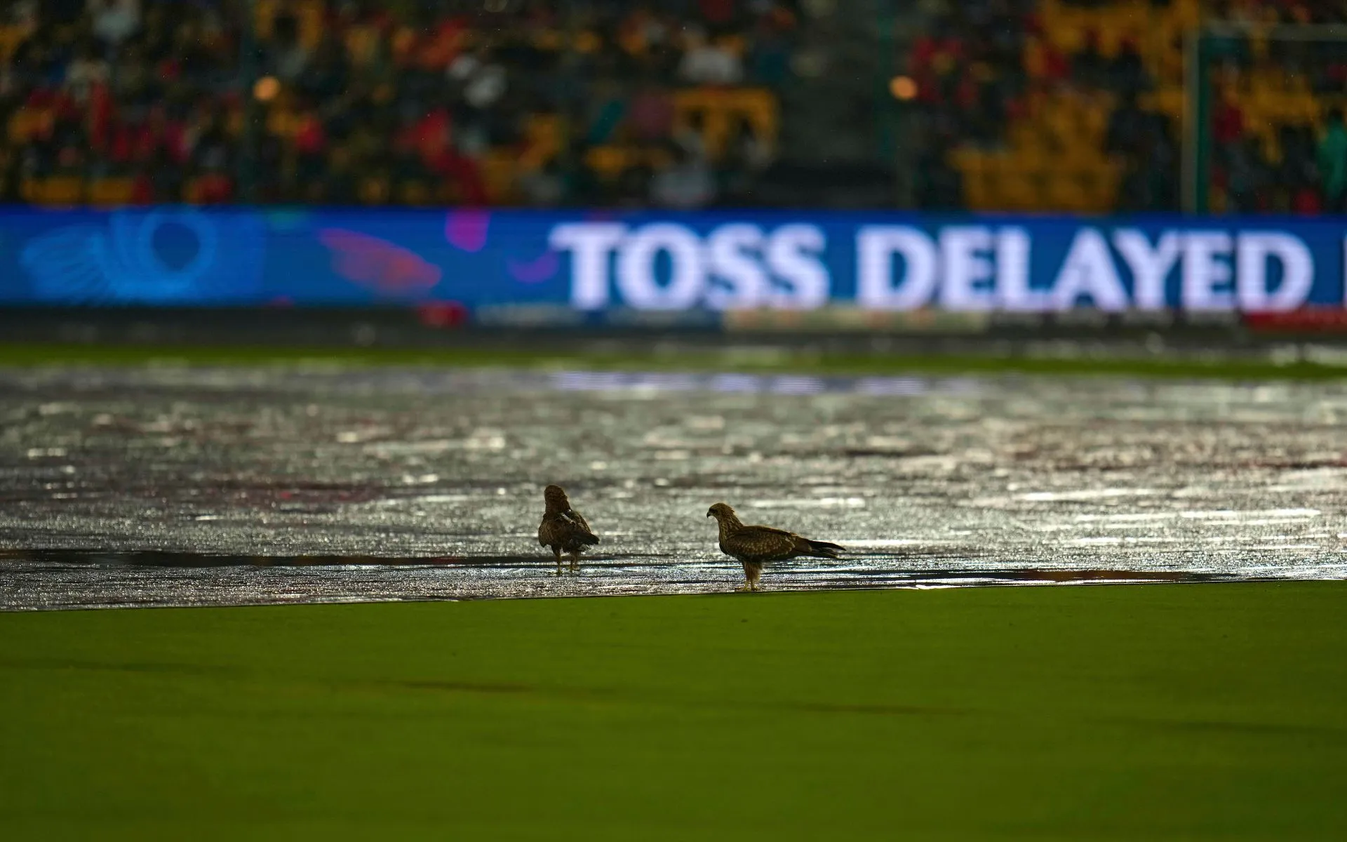 Chinnaswamy Stadium (Source: AP Photos)