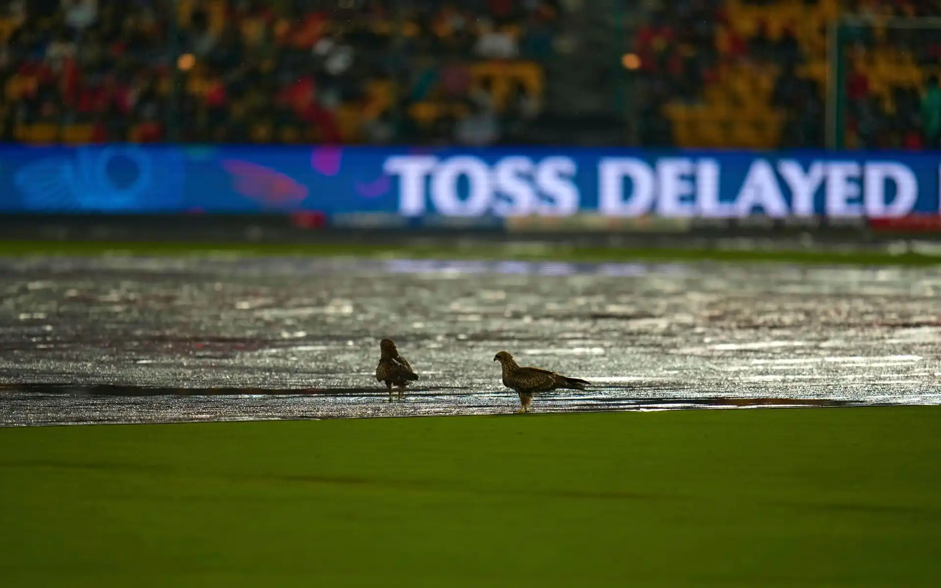 How Chinnaswamy Stadium's Sub Air System Becomes Crucial For RCB Vs PBKS IPL 2025 Match
