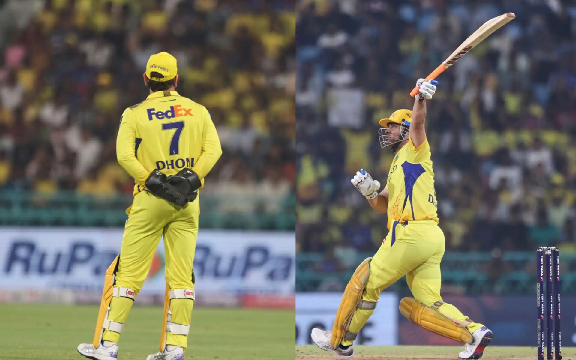 MS Dhoni for CSK [Source: AP Photos]
