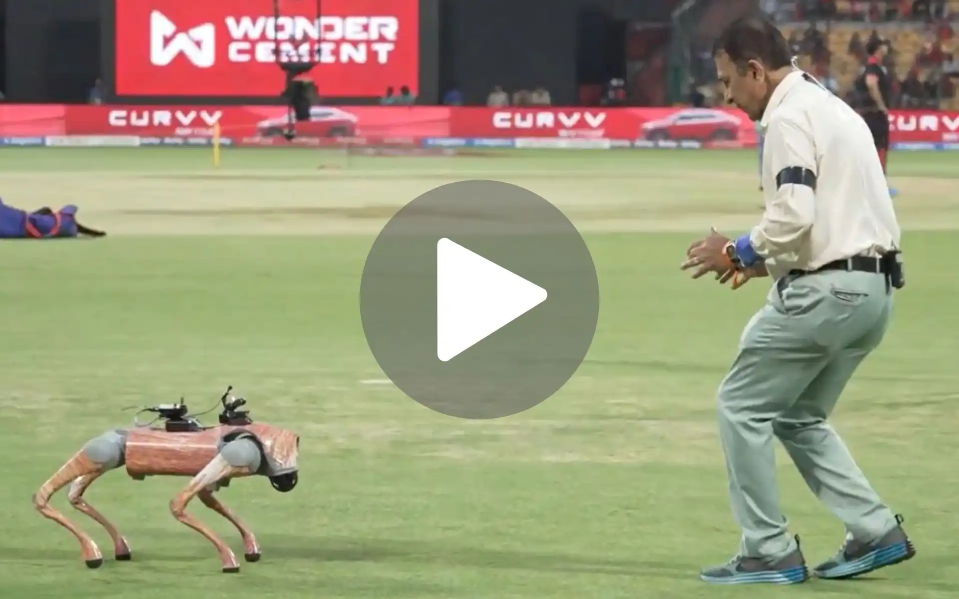 Sunil Gavaskar DANCES With Champak, Robotic Dog Takes Centre Stage In RCB Vs RR