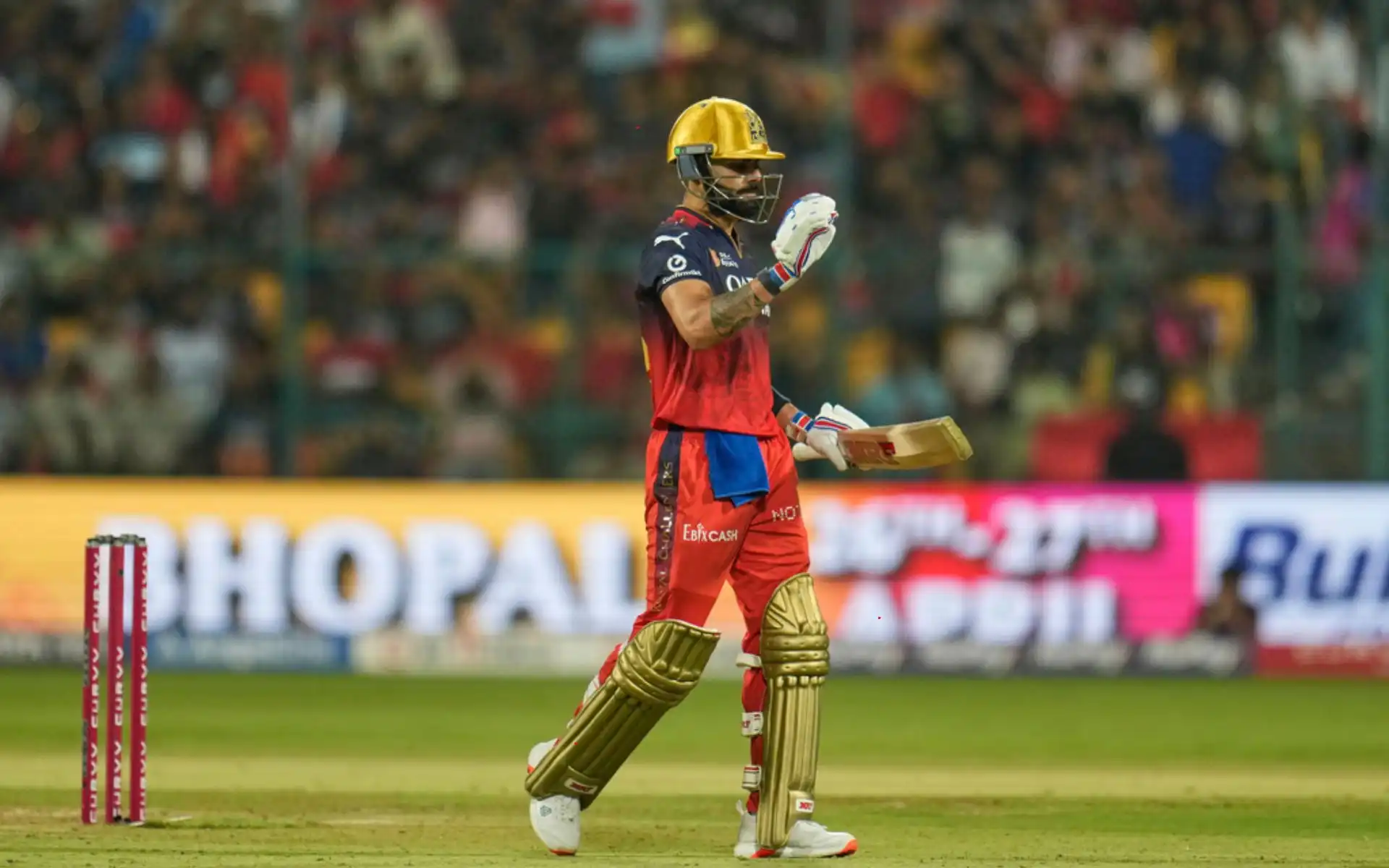 Virat Kohli in IPL 2025 (Source: AP Photos)