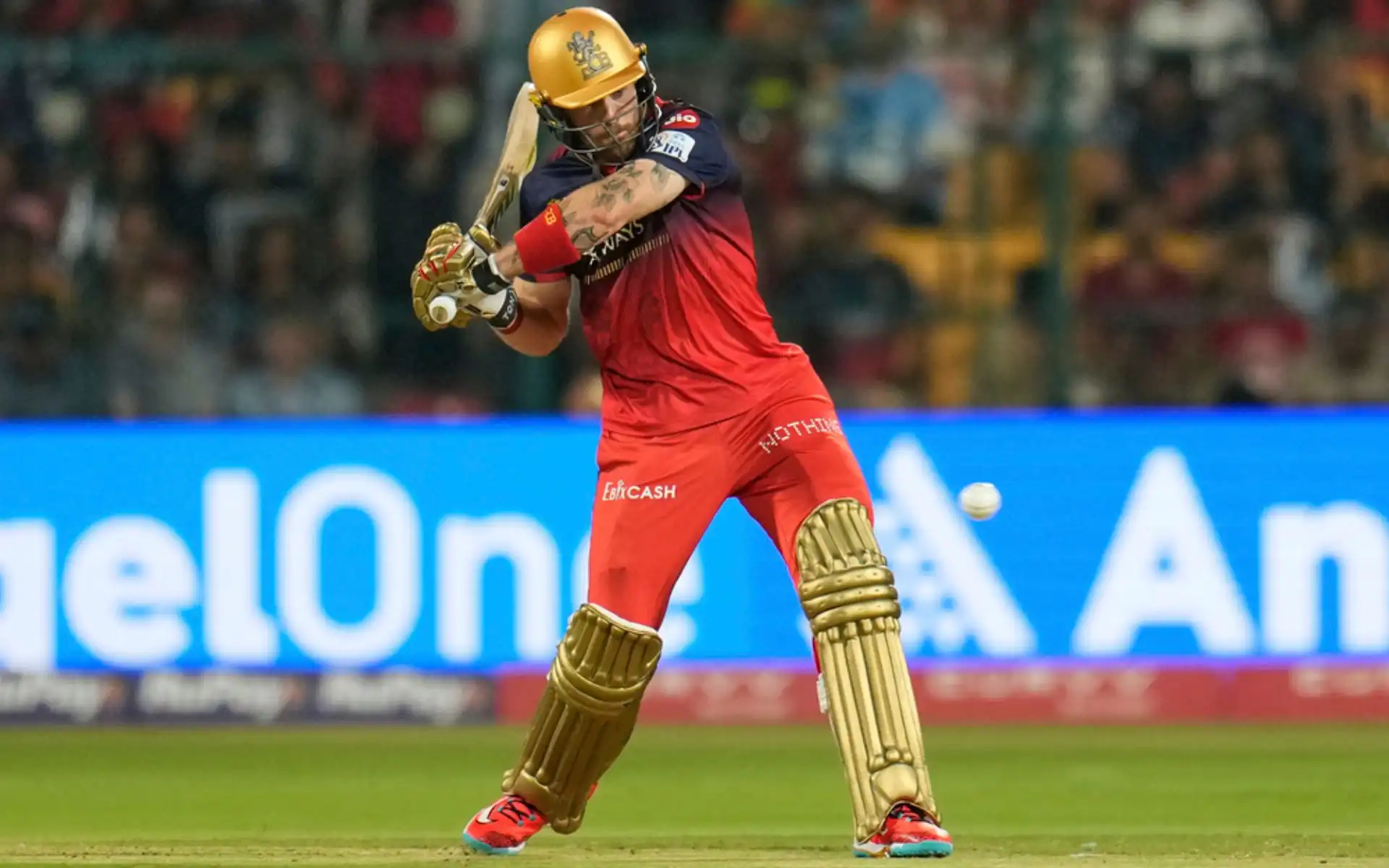 Phil Salt for RCB [Source: AP Photos]