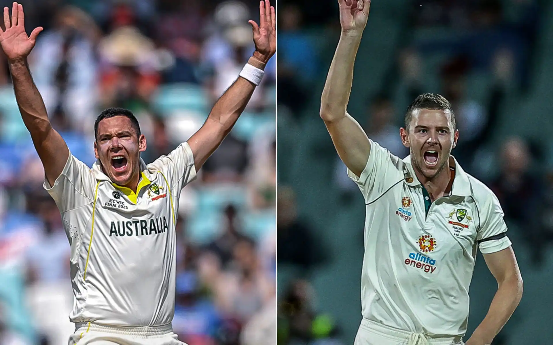 "Hazlewood Ahead Of Boland" Ravi Shastri Bats For RCB Mainstay's Inclusion In WTC Final