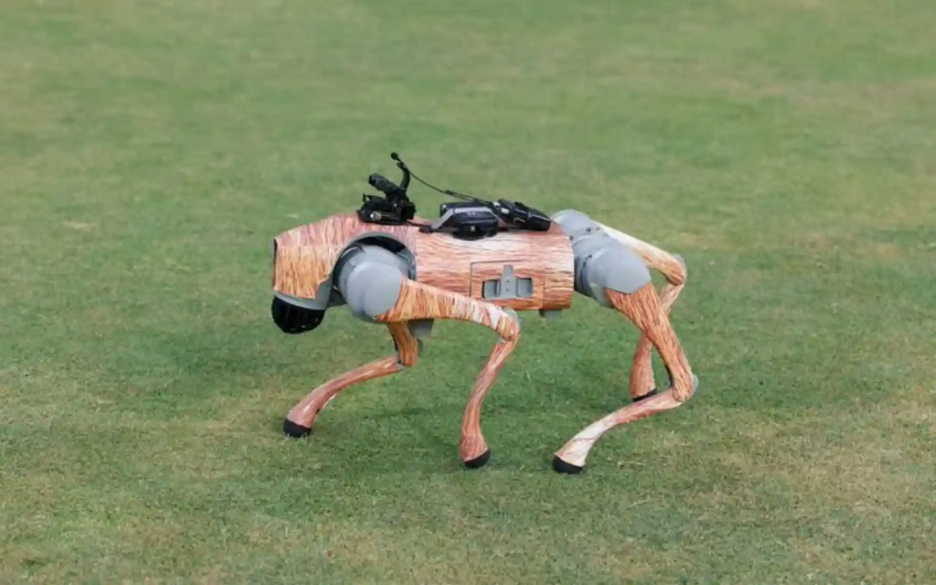 IPL Robot Dog 'Champak' Leads BCCI To Legal Trouble Over Name Clash With Comic Book
