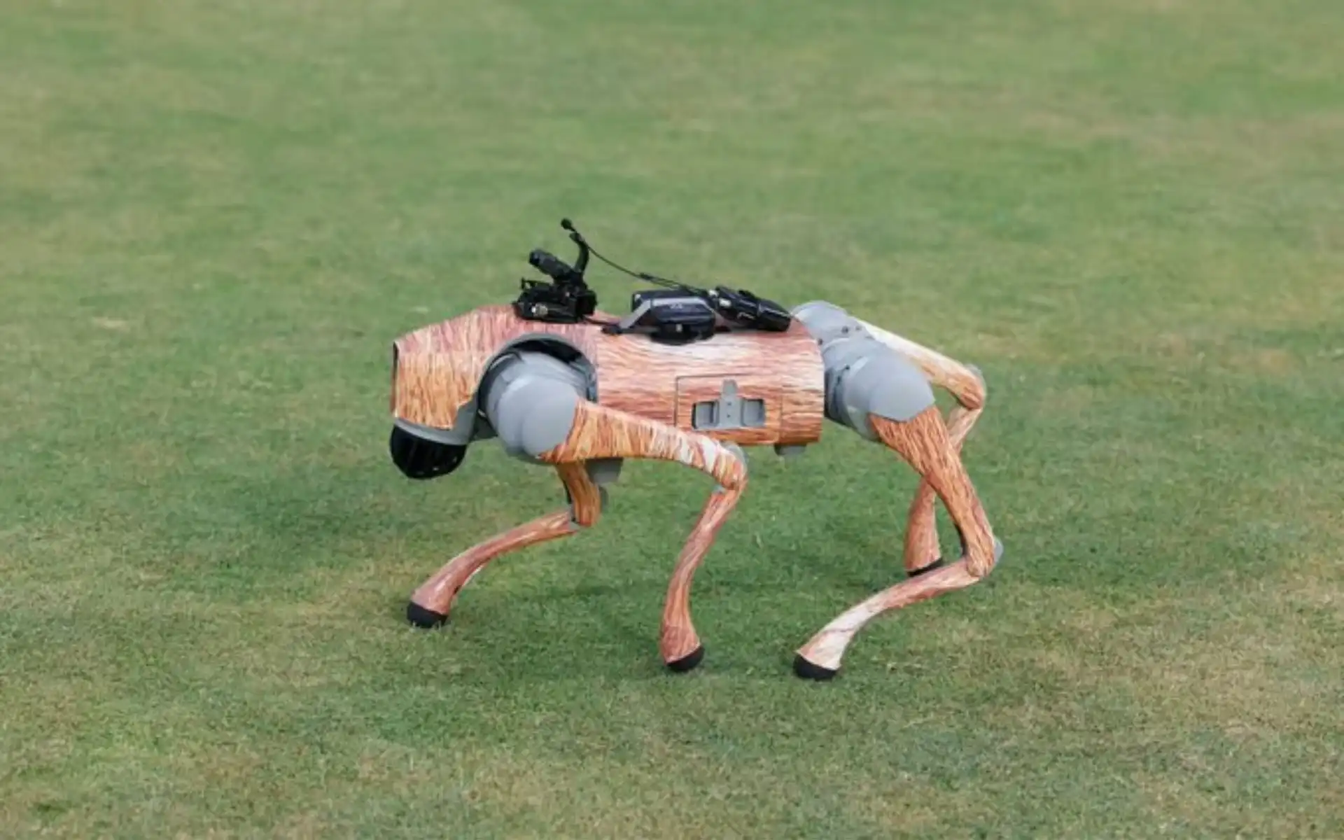 IPL Robot Dog 'Champak' Leads BCCI To Legal Trouble Over Name Clash With Comic Book