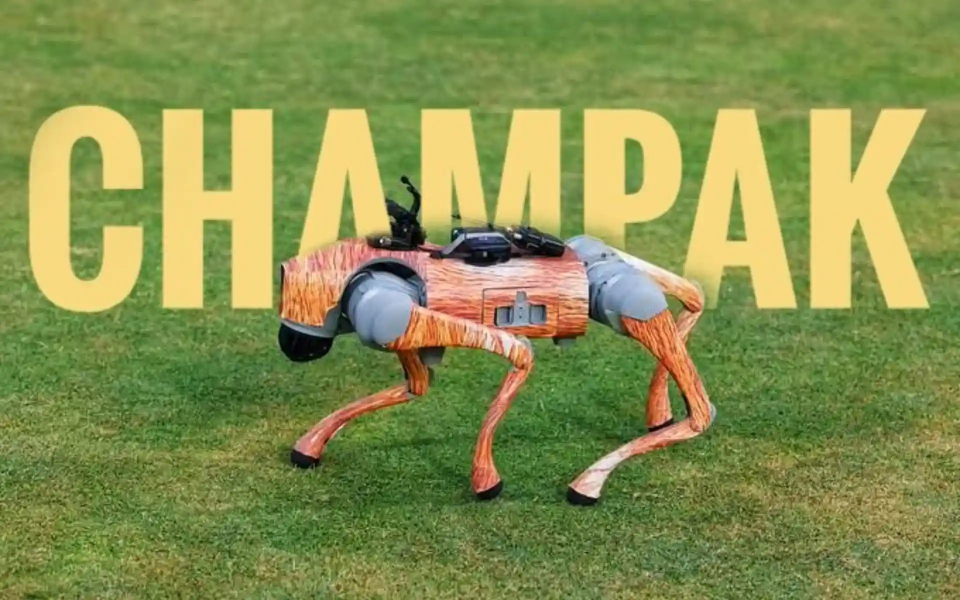 रोबोटिक डॉग 'चम्पक' (Source:@SamiullaSadaty,x.com)