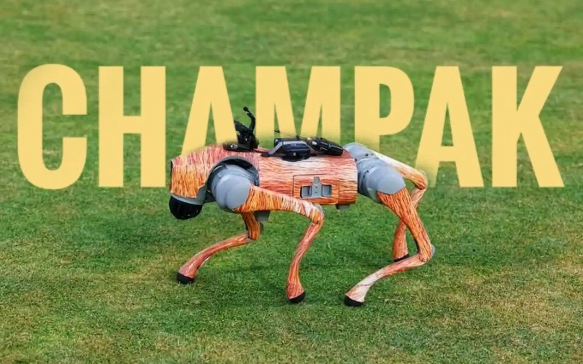Delhi HC Declines To Restrain IPL From Using Robotic Dog 'Champak' Amid Trademark Row
