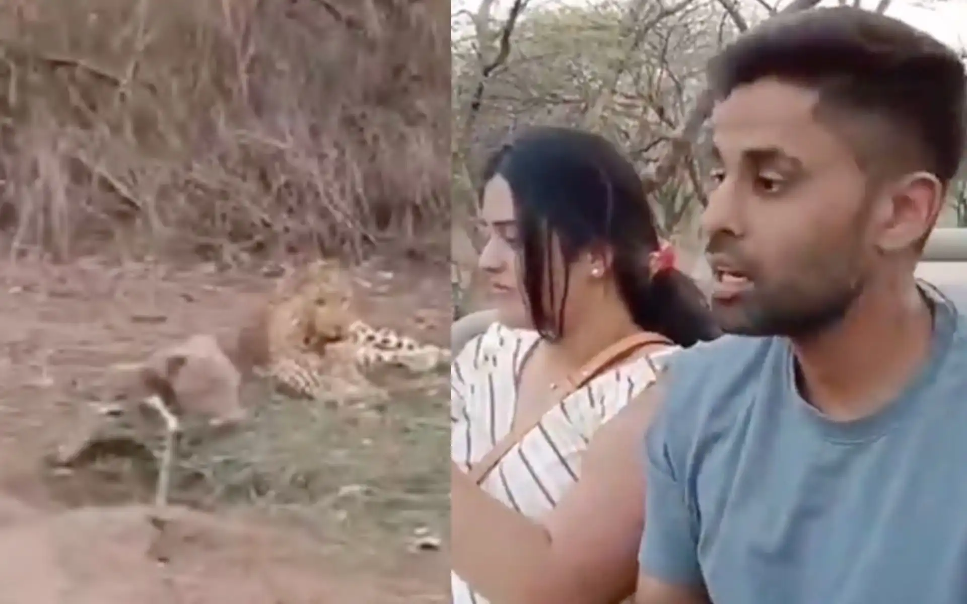 Suryakumar Yadav in safari (Source:@rushii_12/X.com)