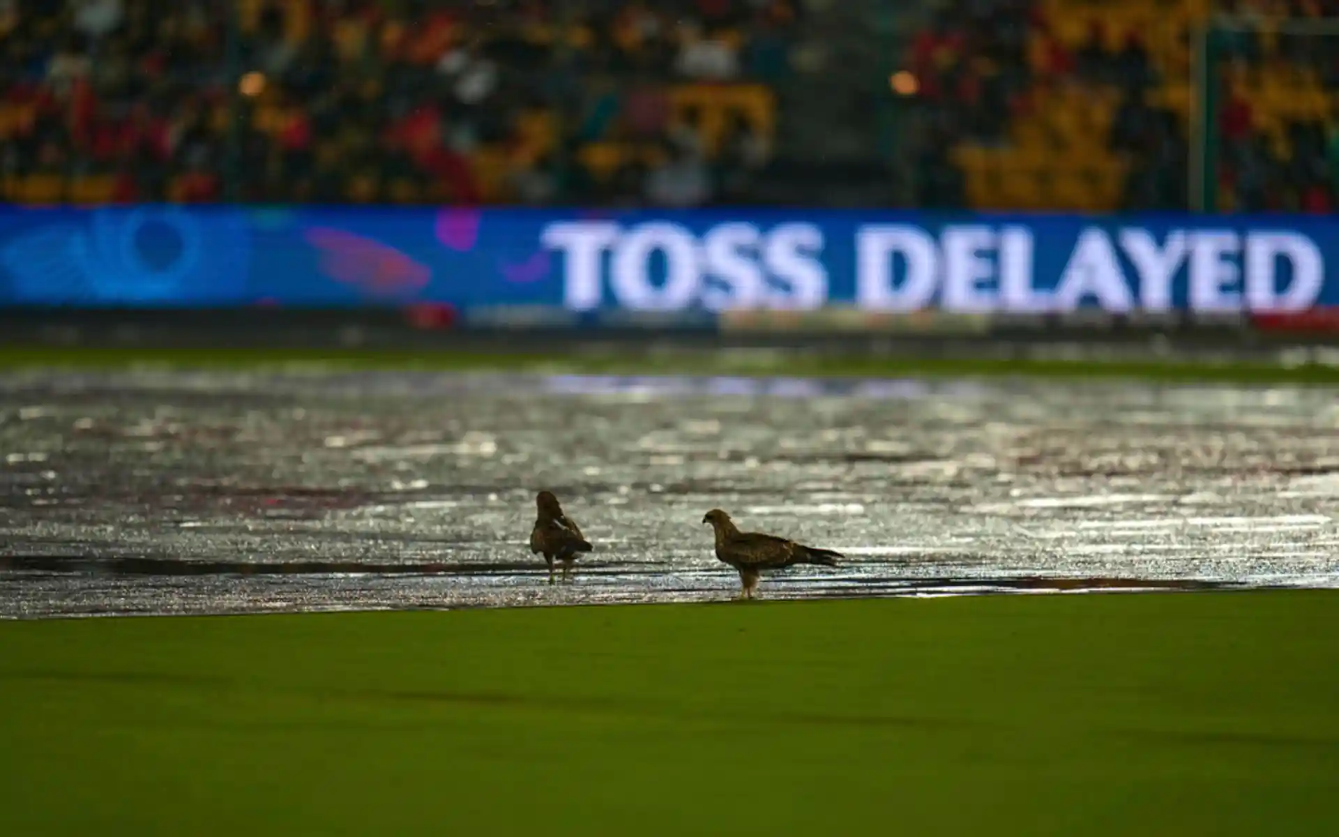एम चिन्नास्वामी स्टेडियम [Source: AP]