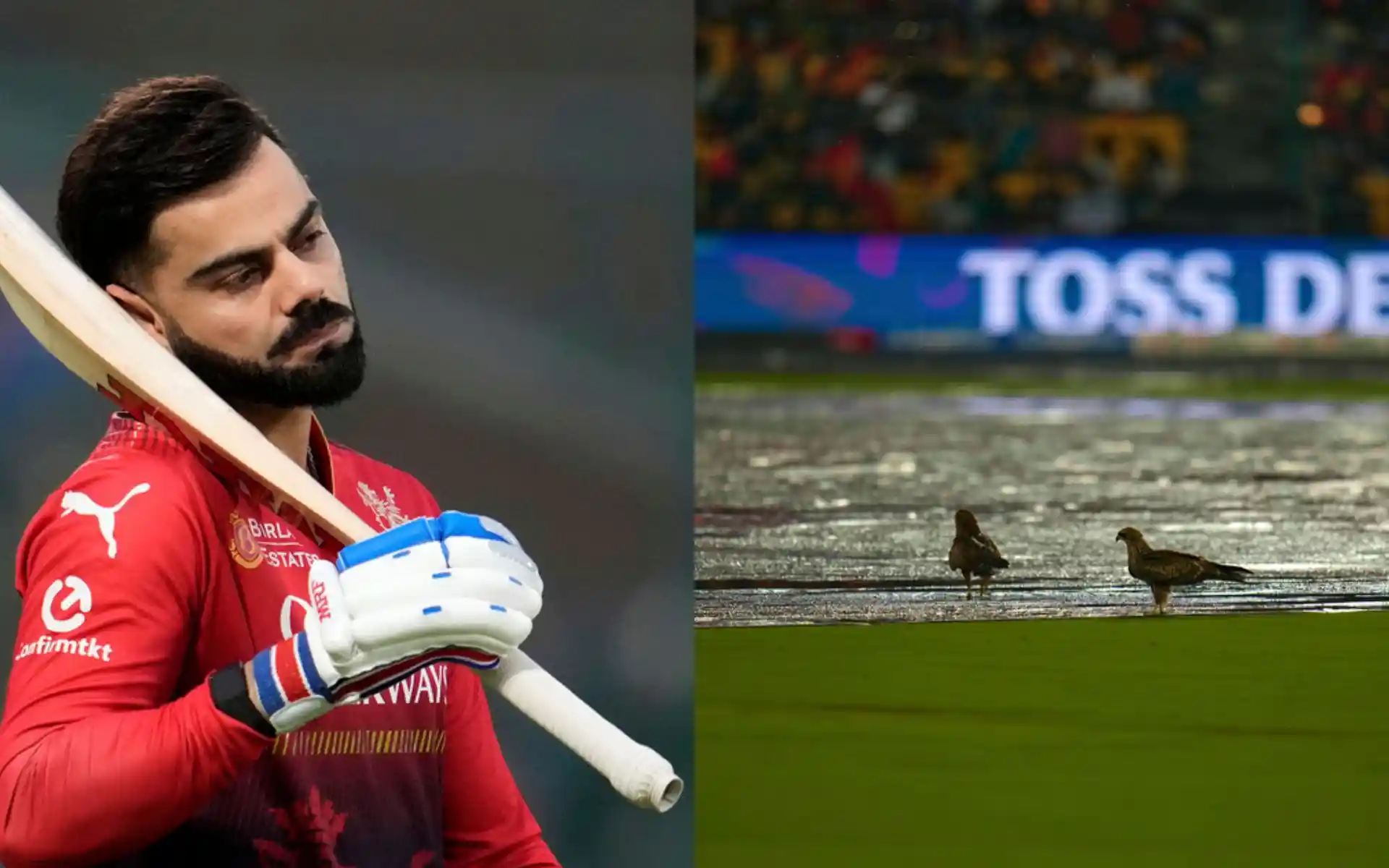 How RCB vs CSK Washout Could Force Virat Kohli And Co To Play IPL 2025 Eliminator