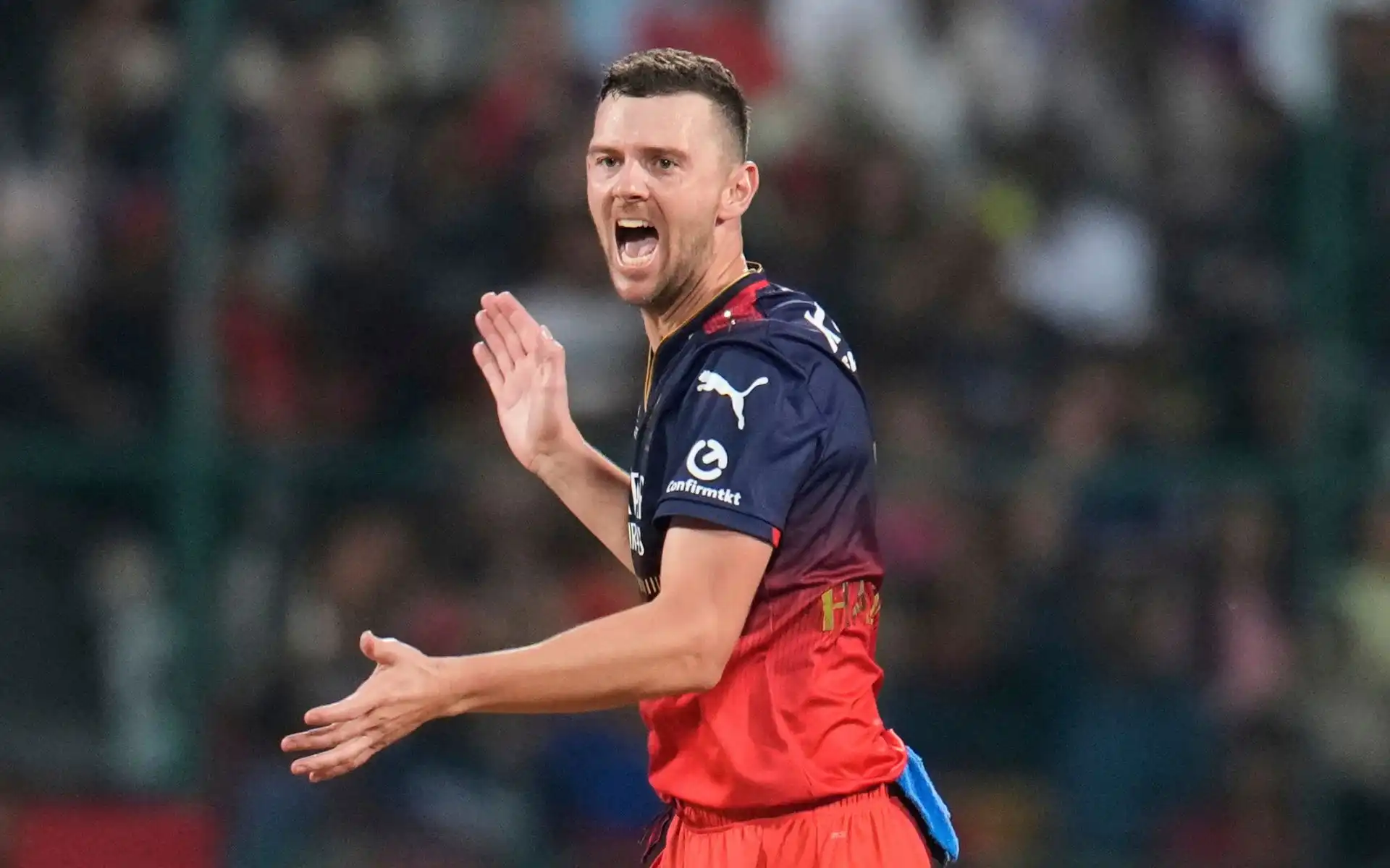 Josh Hazlewood - (Source : @AP)