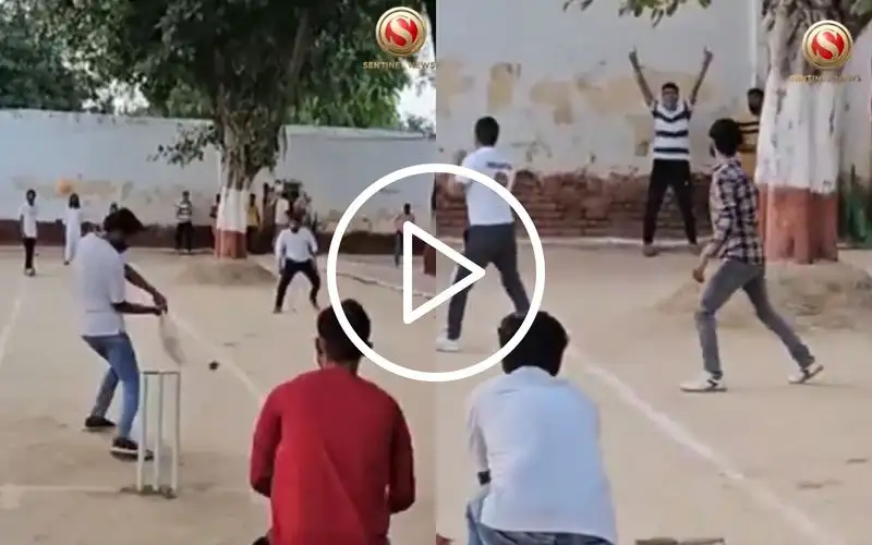 Jail Premier League! Inmates Enjoy Cricket As Mathura Prison Hosts Unique Tournament