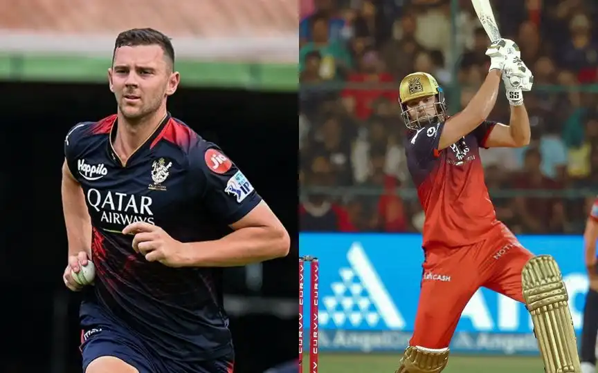 Josh Hazlewood and Tim David [Source: @Inayatsayyed_, @mufaddal_vohra/X]
