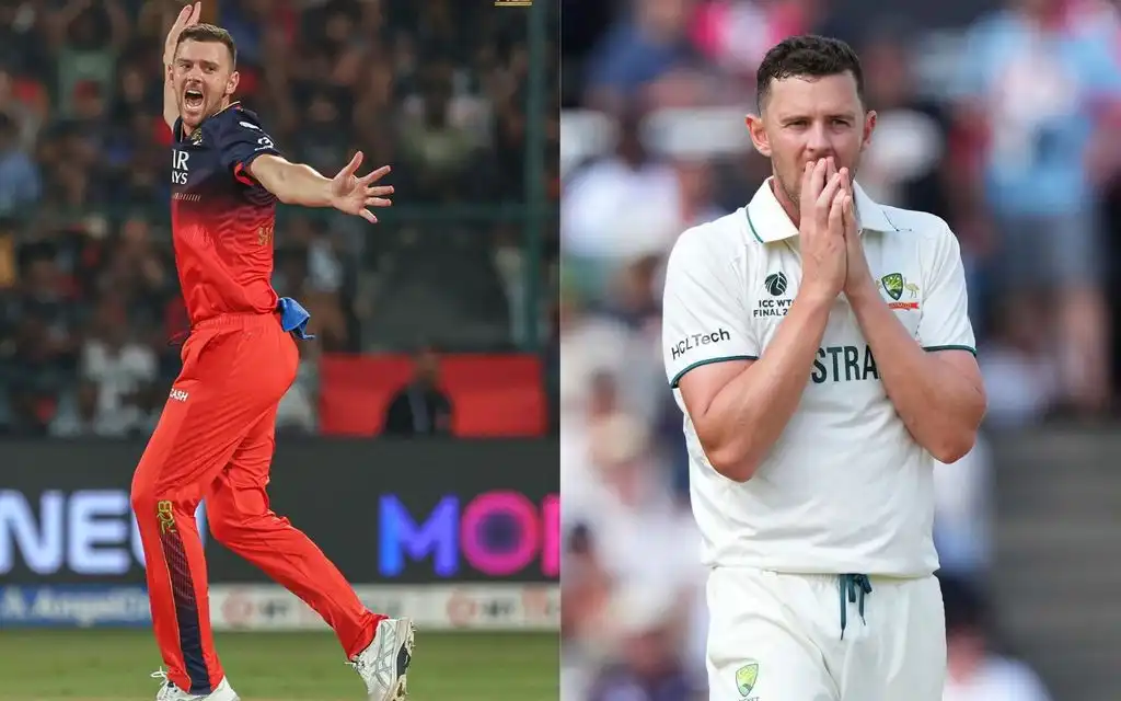 Josh Hazlewood For both teams - (Source : AP)