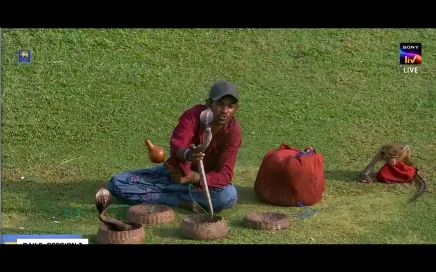 Bizarre Scenes In Galle! Snake Charmer Enjoys Sri Lanka-Bangladesh Test With 2 Snakes