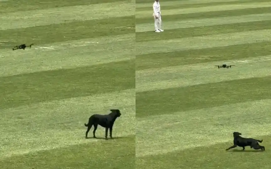 Dog Interrupts Australia vs West Indies 2nd Test; Security Use Drone To Clear The Field For Play