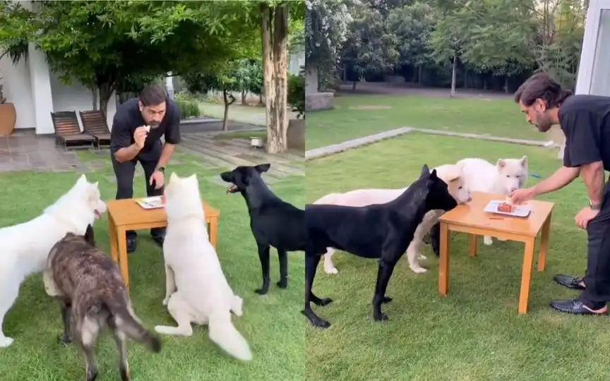 MS Dhoni celebrating birthday with pets [Source: @CricCrazyJohns/X.com]