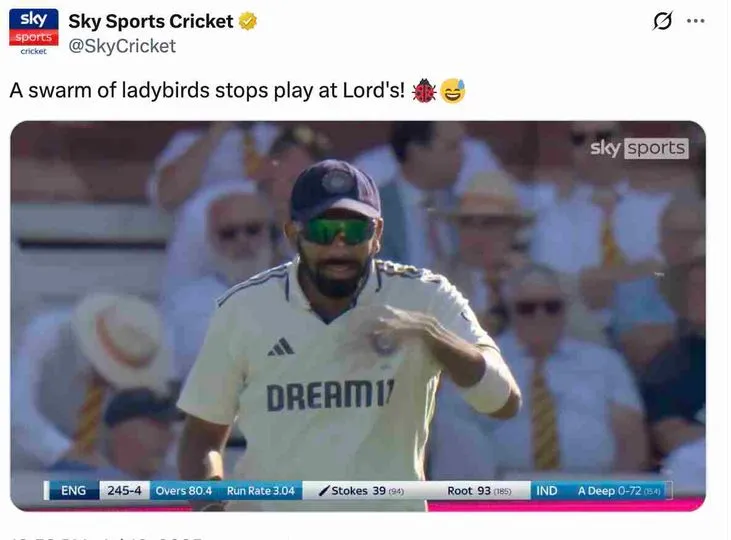 Ladybirds during Lord's Test (Source:@SkyCricket/X.com)